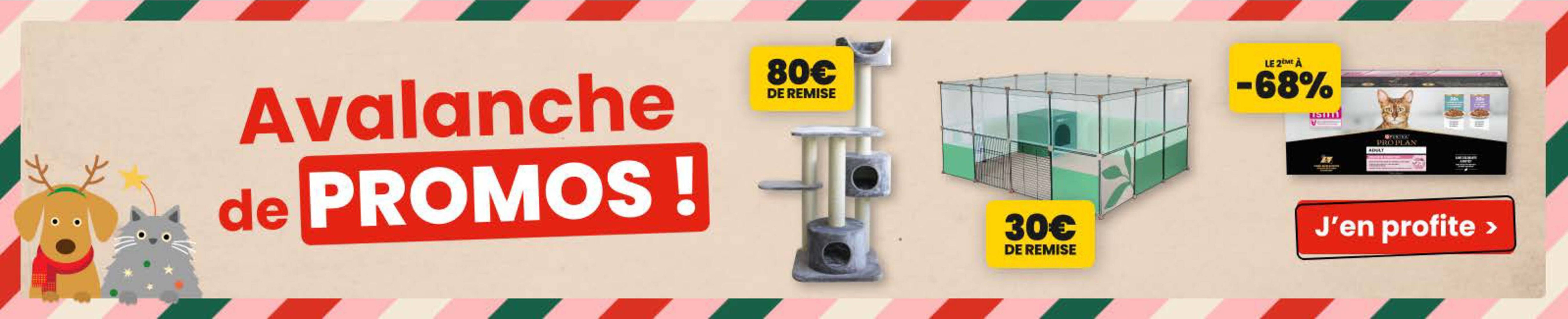 Catalogue Animalis (2025-12-15 - 2025-12-22)