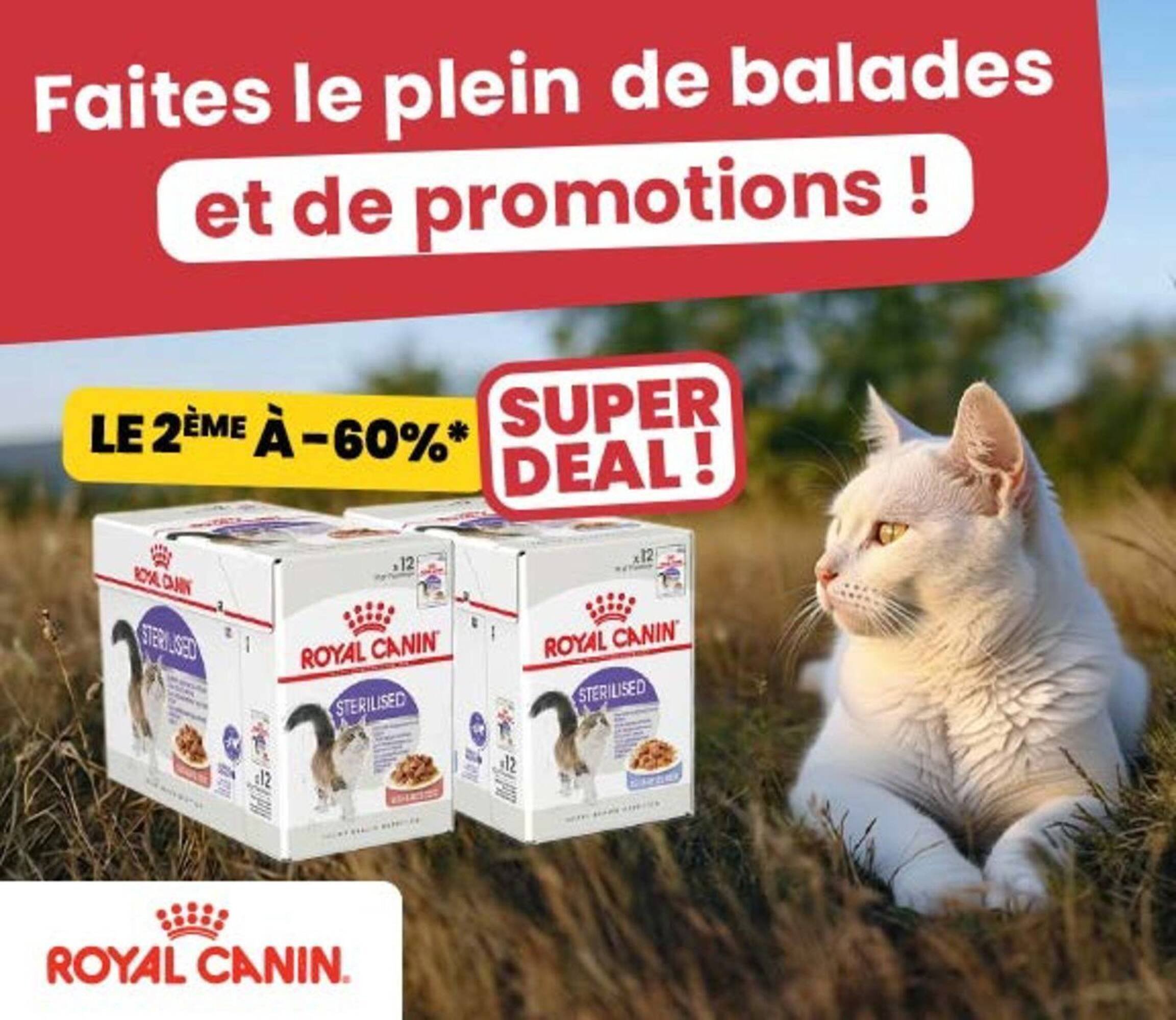 Catalogue Animalis (2026-05-05 - 2026-05-17)