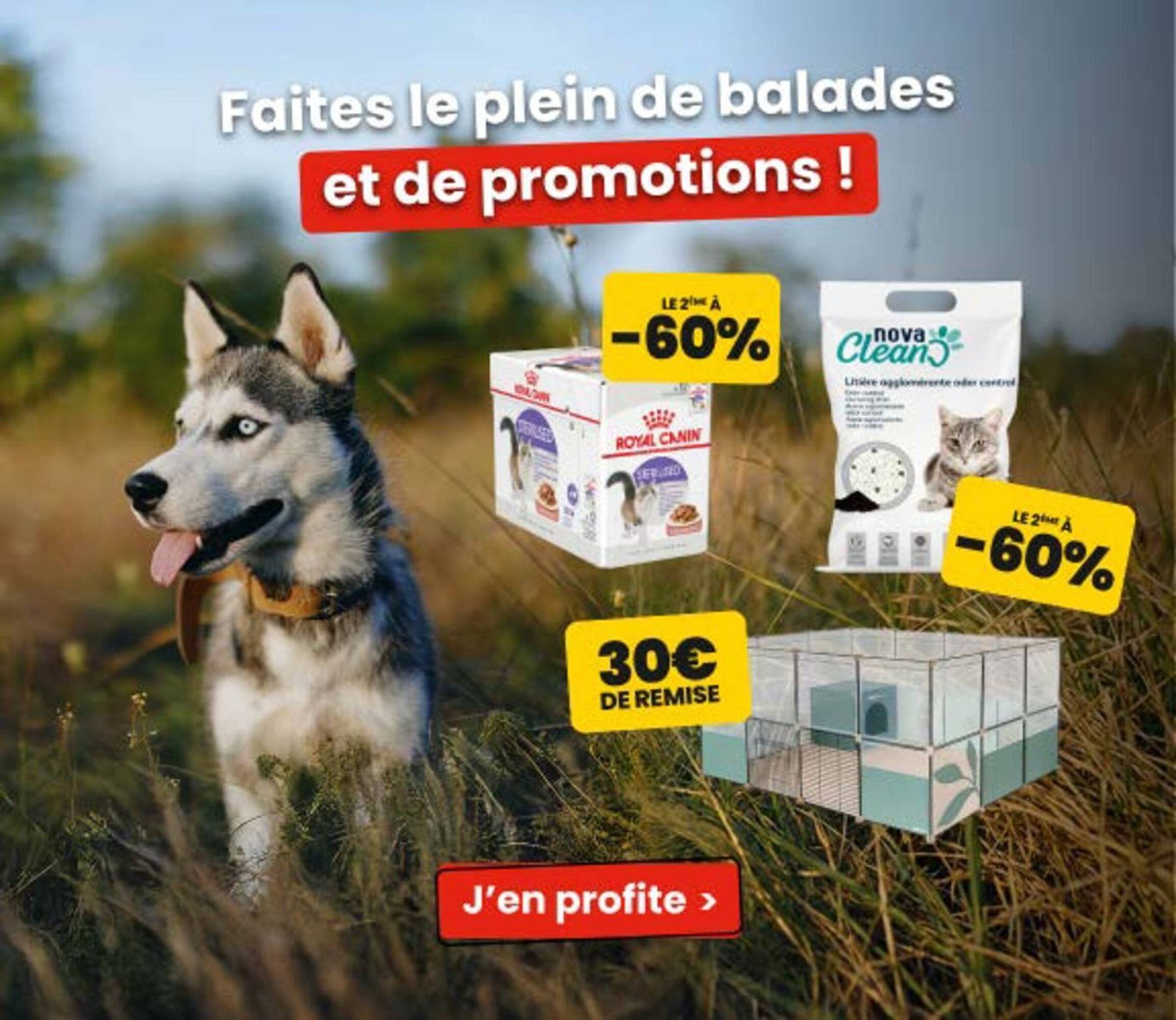 Catalogue Animalis (2026-05-05 - 2026-05-17)