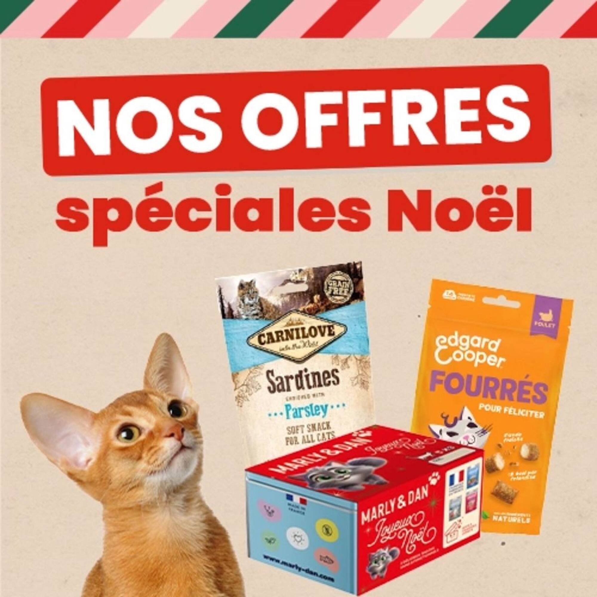 Catalogue Animalis (2025-12-15 - 2025-12-31)