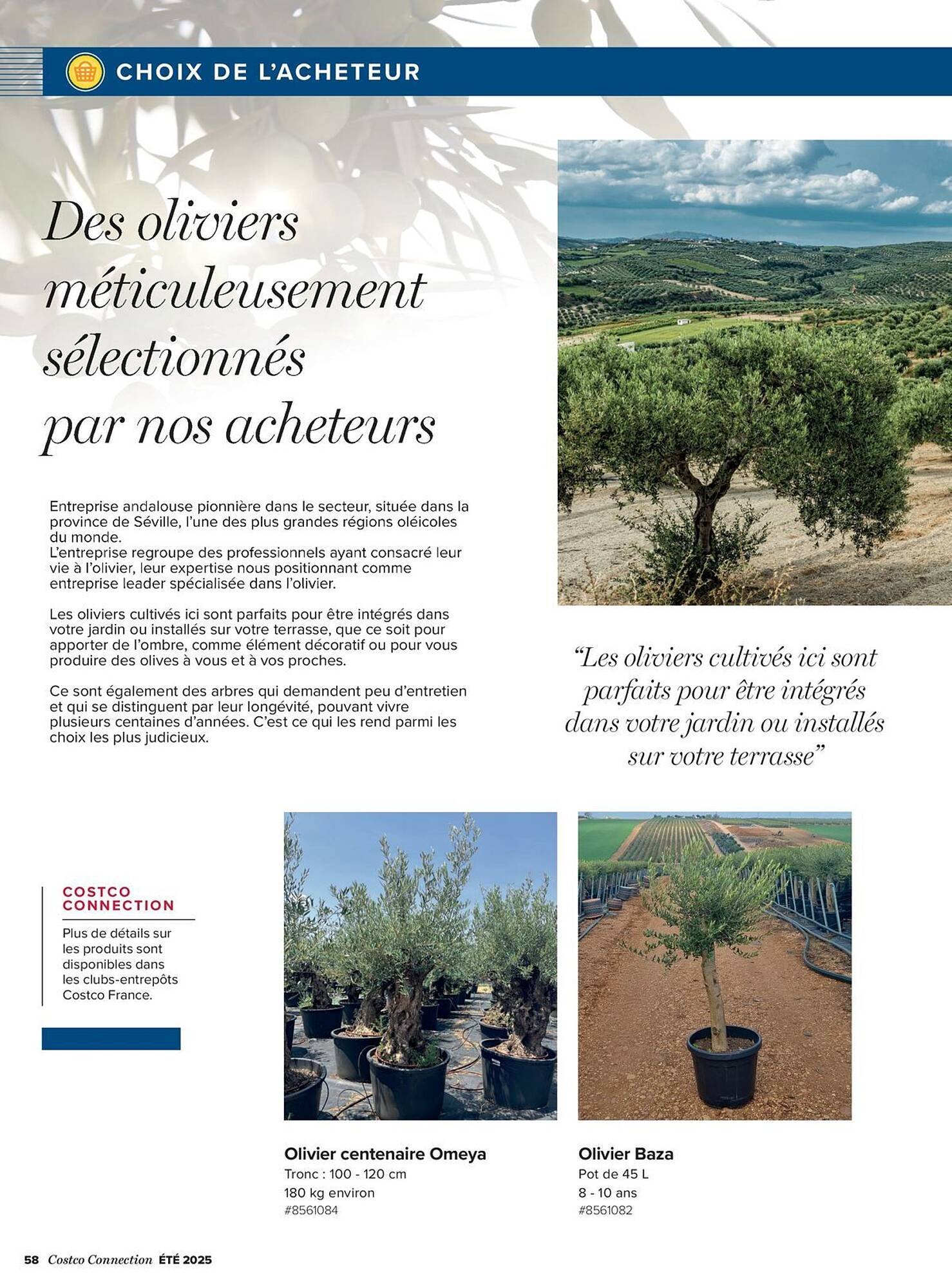 Catalogue Costco (2025-08-08 - 2025-08-31)