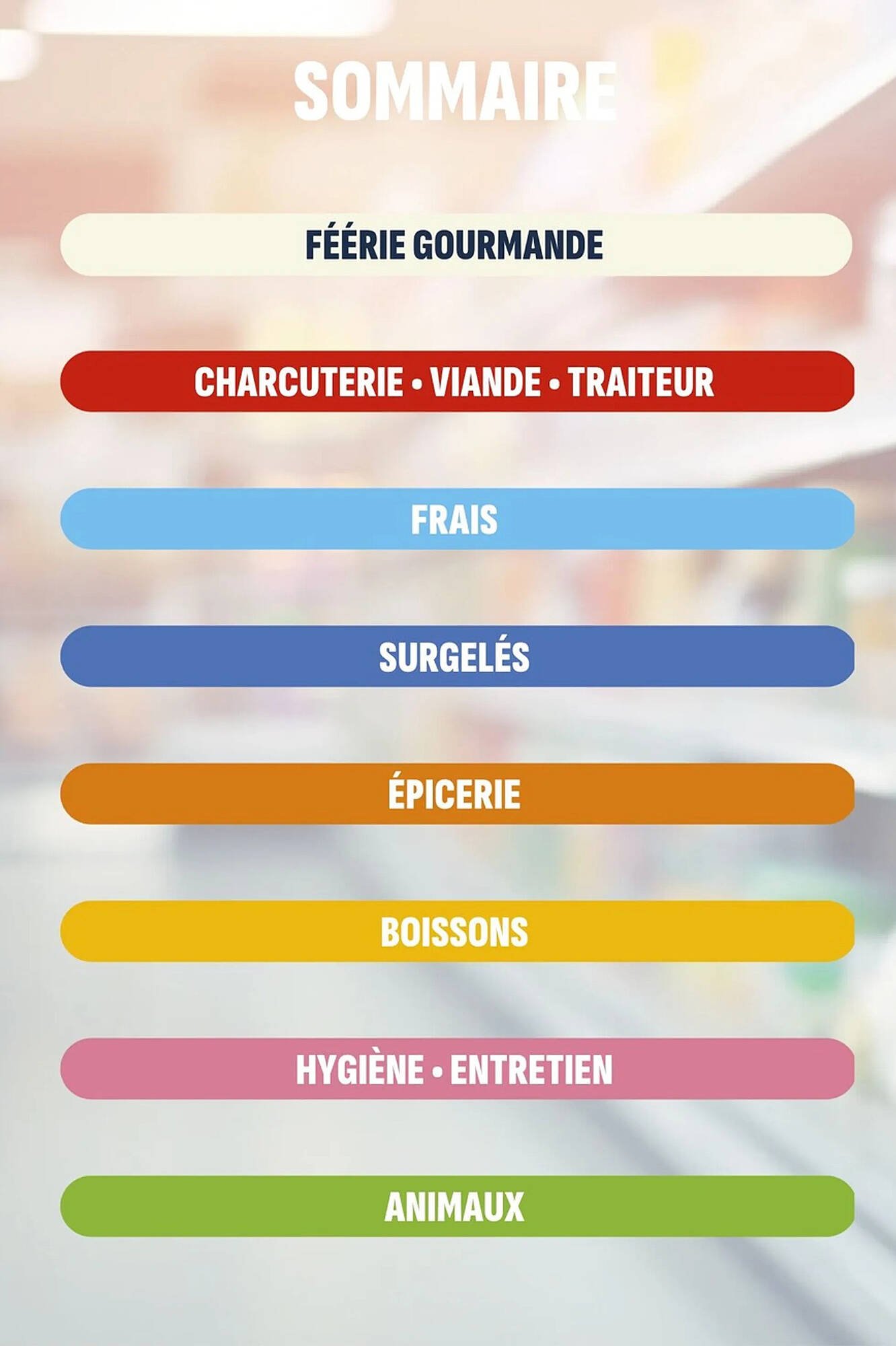 Catalogue Coccinelle Express