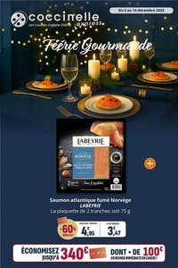 Catalogue Coccinelle Express