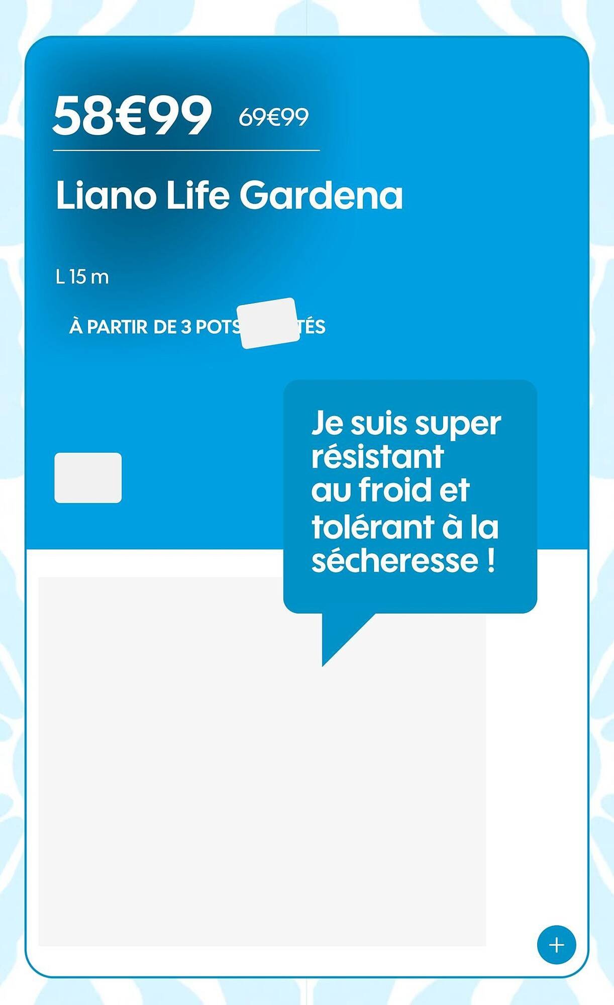 Catalogue Truffaut