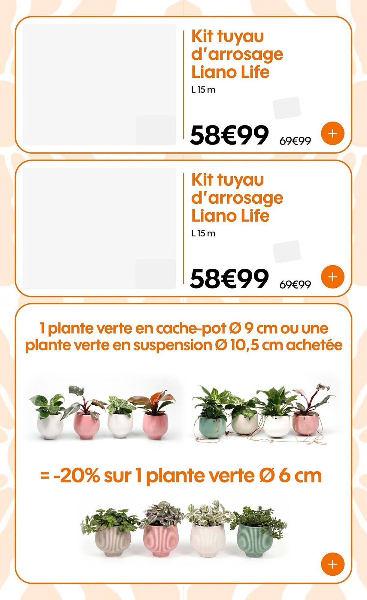 Catalogue Truffaut