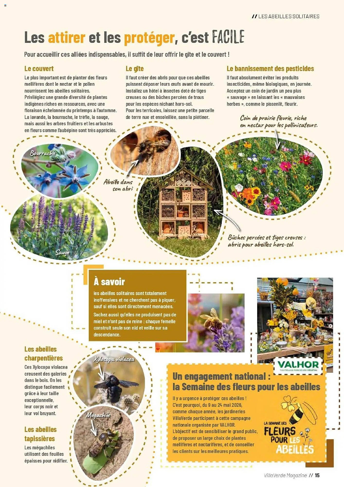 Catalogue VillaVerde