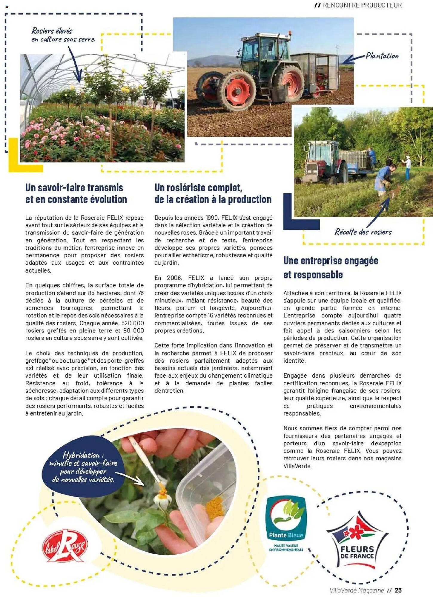 Catalogue VillaVerde