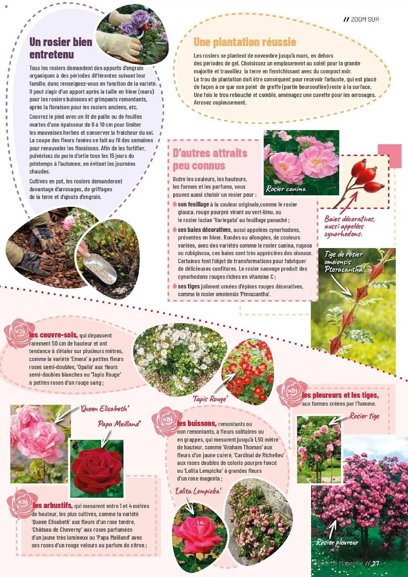 Catalogue VillaVerde