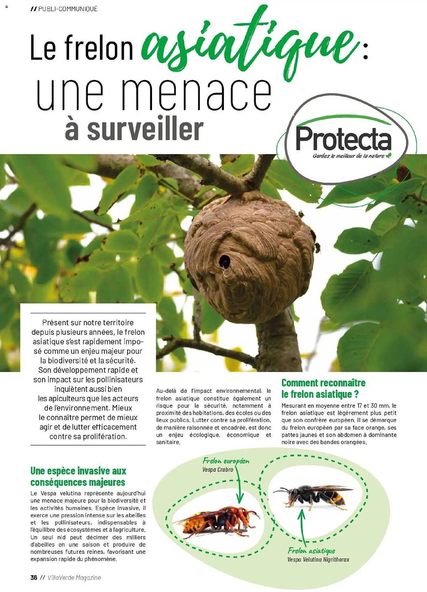 Catalogue VillaVerde