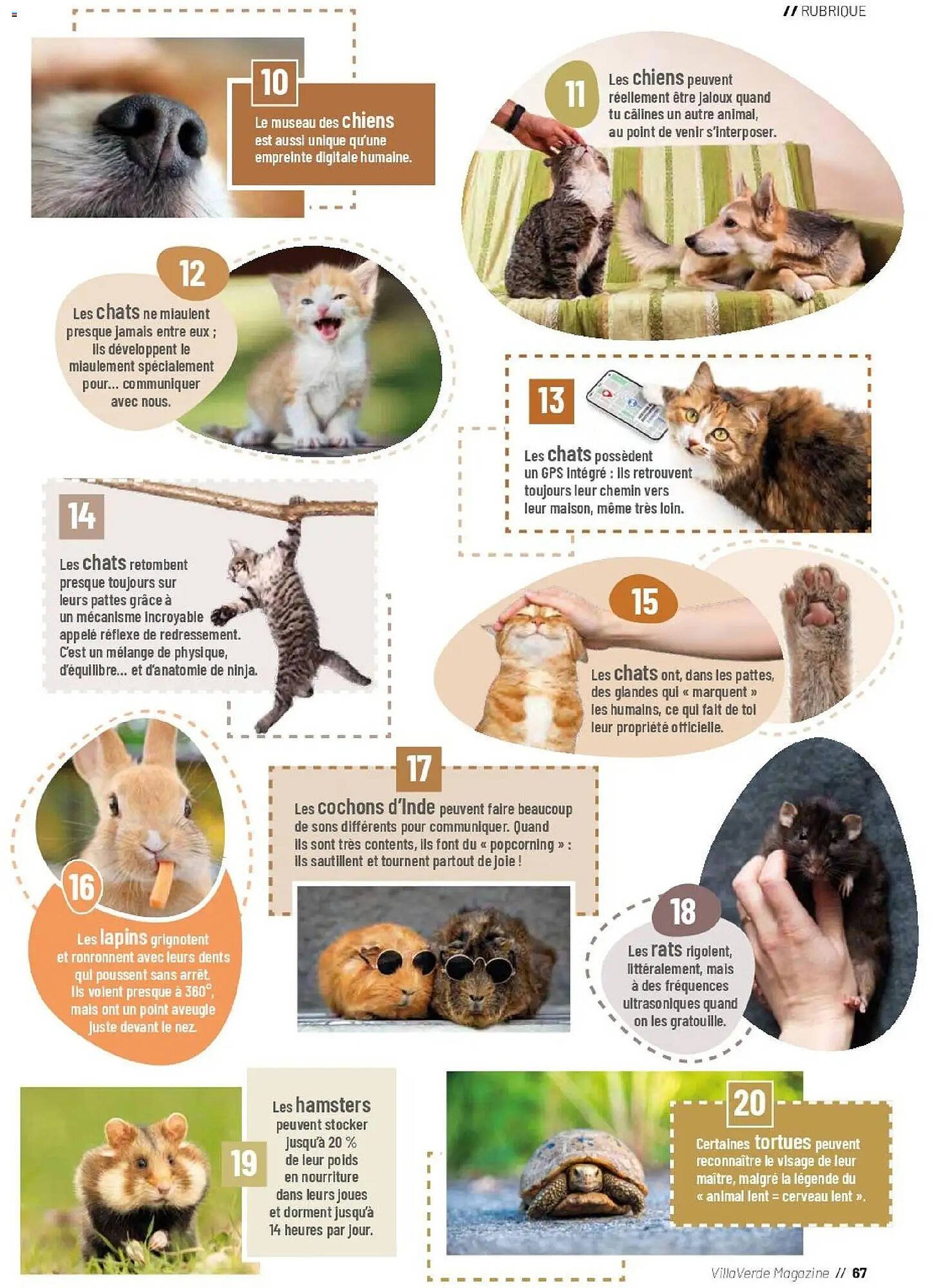 Catalogue VillaVerde