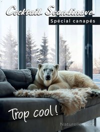 Catalogue Cocktail Scandinave