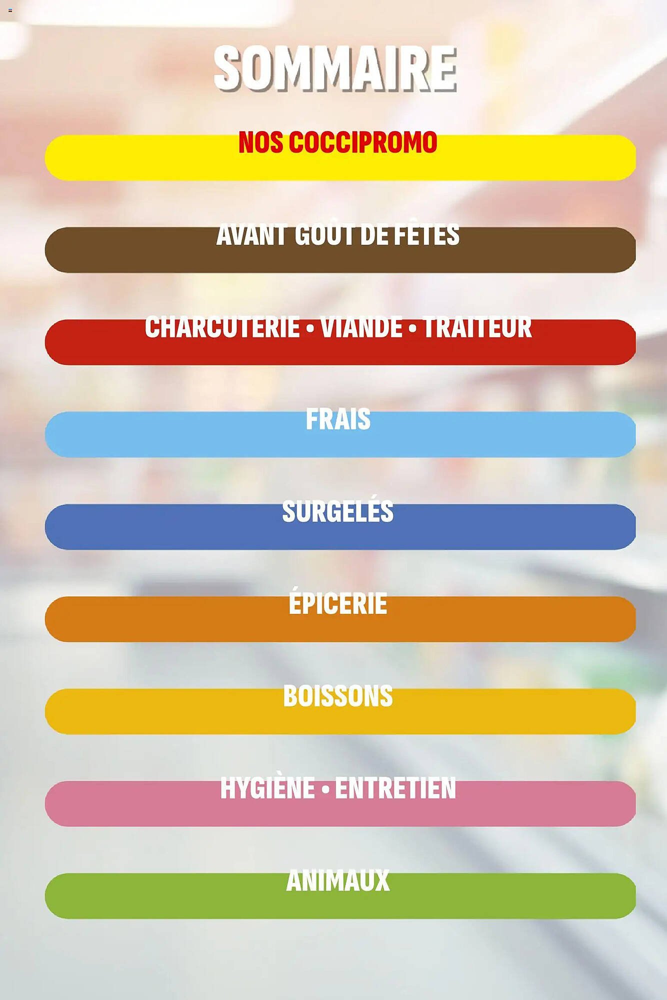 Catalogue Coccinelle Express