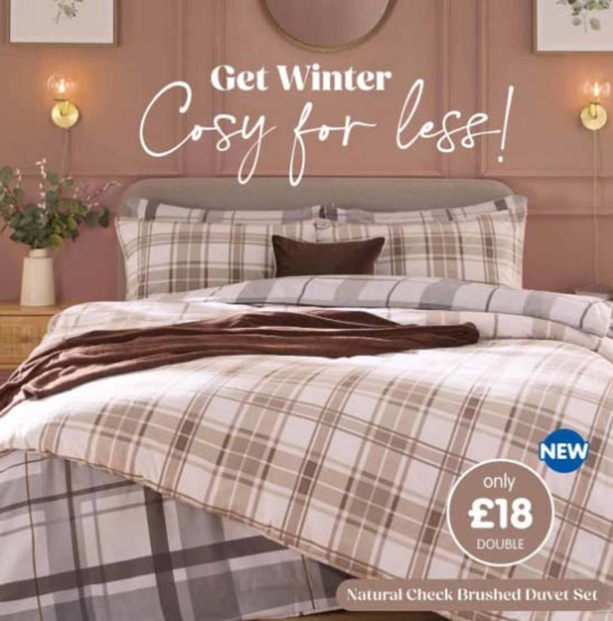 B&amp;M Stores leaflet (2025-11-06 - 2025-11-22) | 2