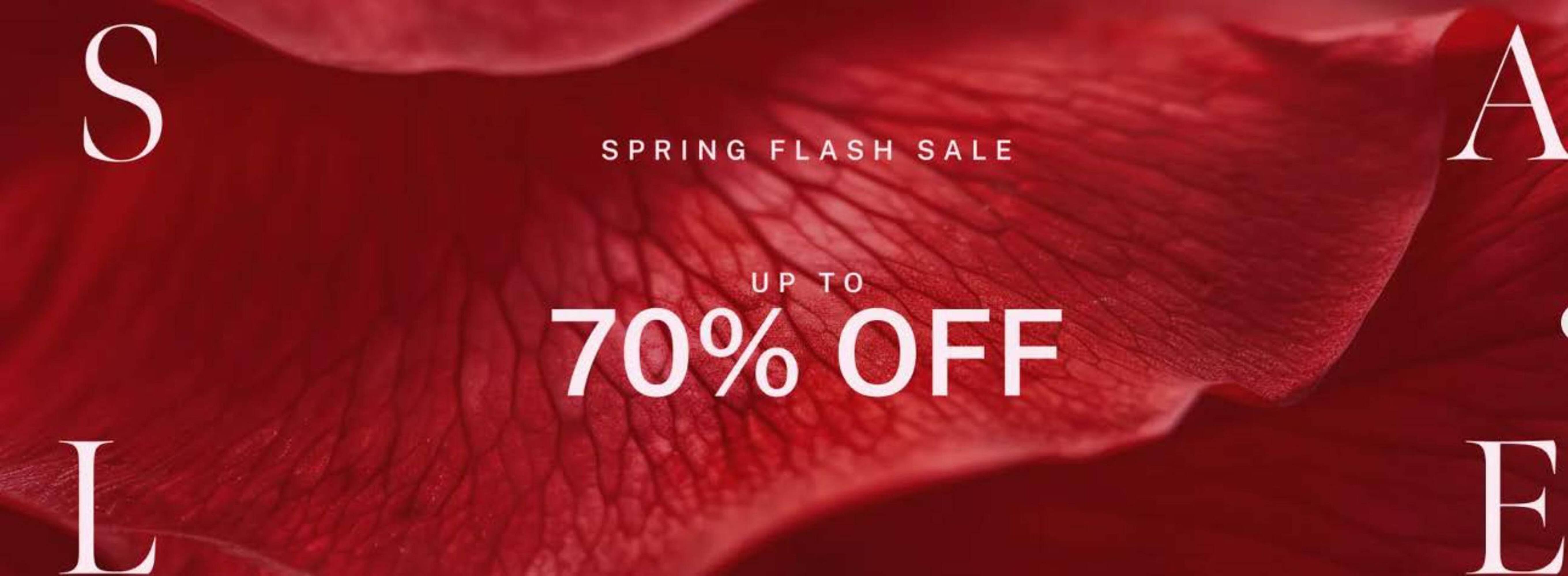 Dorothy Perkins leaflet (2026-02-17 - 2026-03-08) | 1