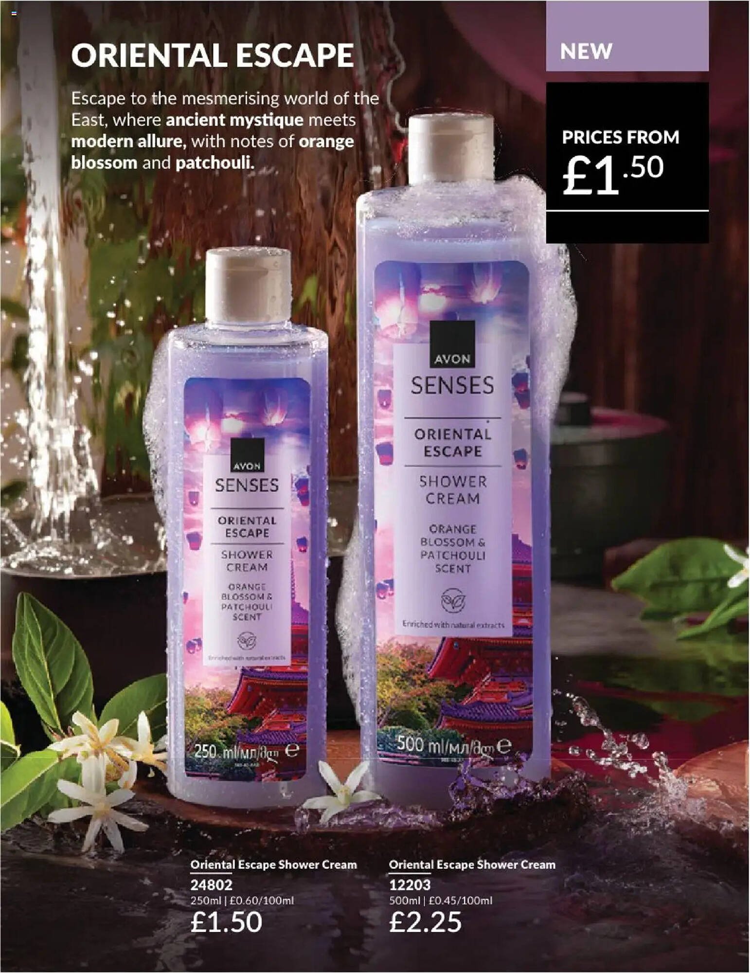 Avon leaflet (2025-08-01 - 2025-09-01) | 208
