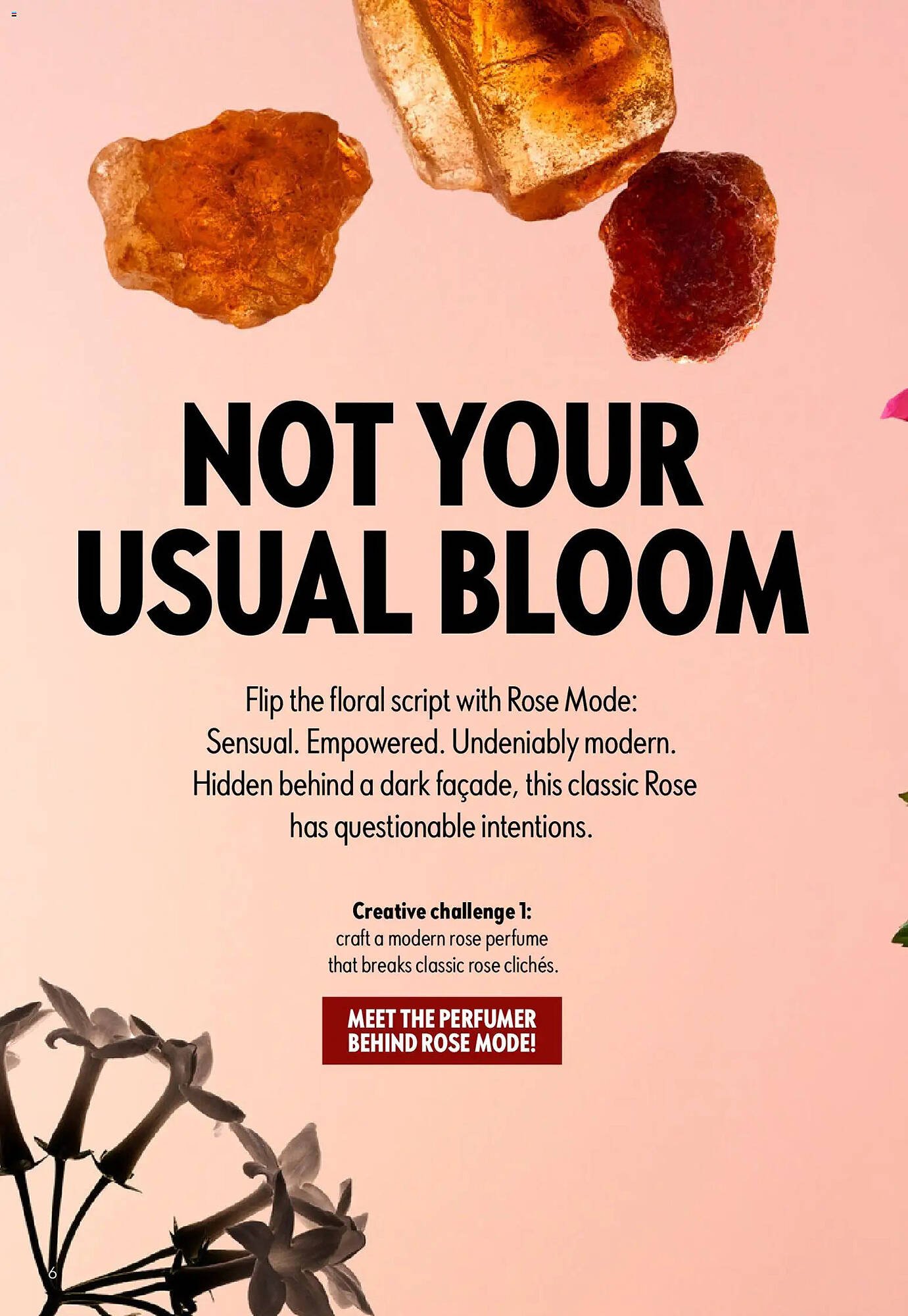 Oriflame catalogue (2026-04-15 - 2026-05-06) | 6