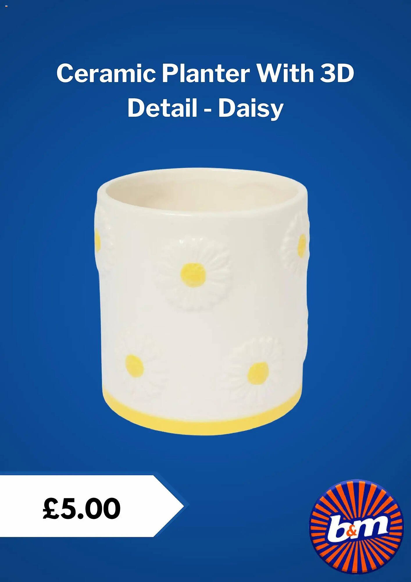 B&amp;M Stores leaflet (2026-02-25 - 2026-03-25) | 3