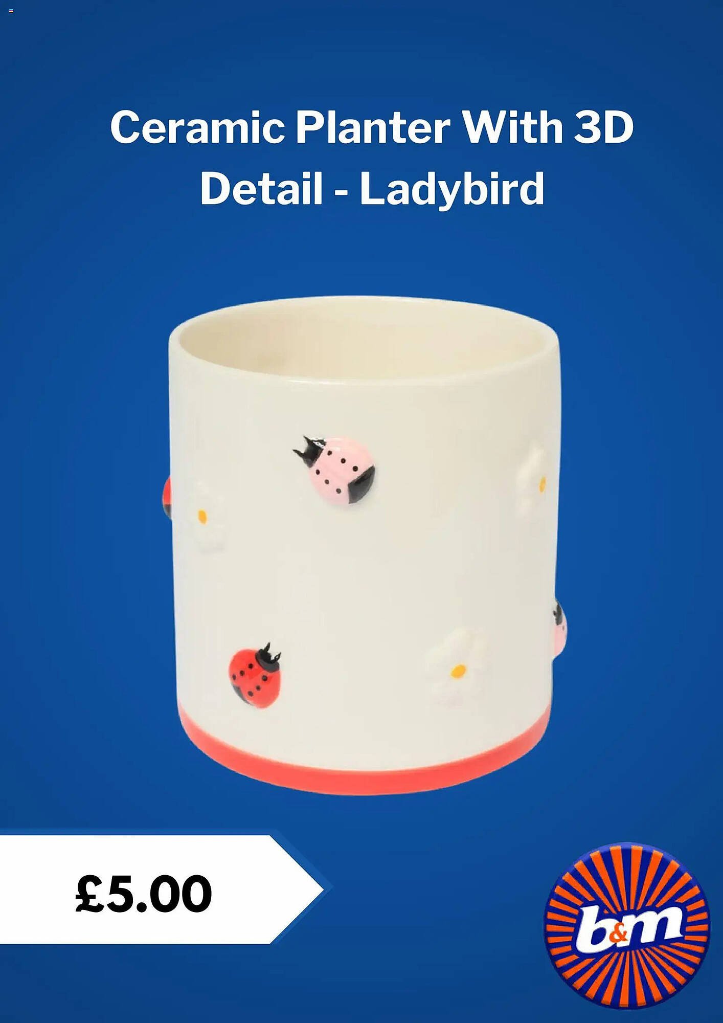 B&amp;M Stores leaflet (2026-02-25 - 2026-03-25) | 4