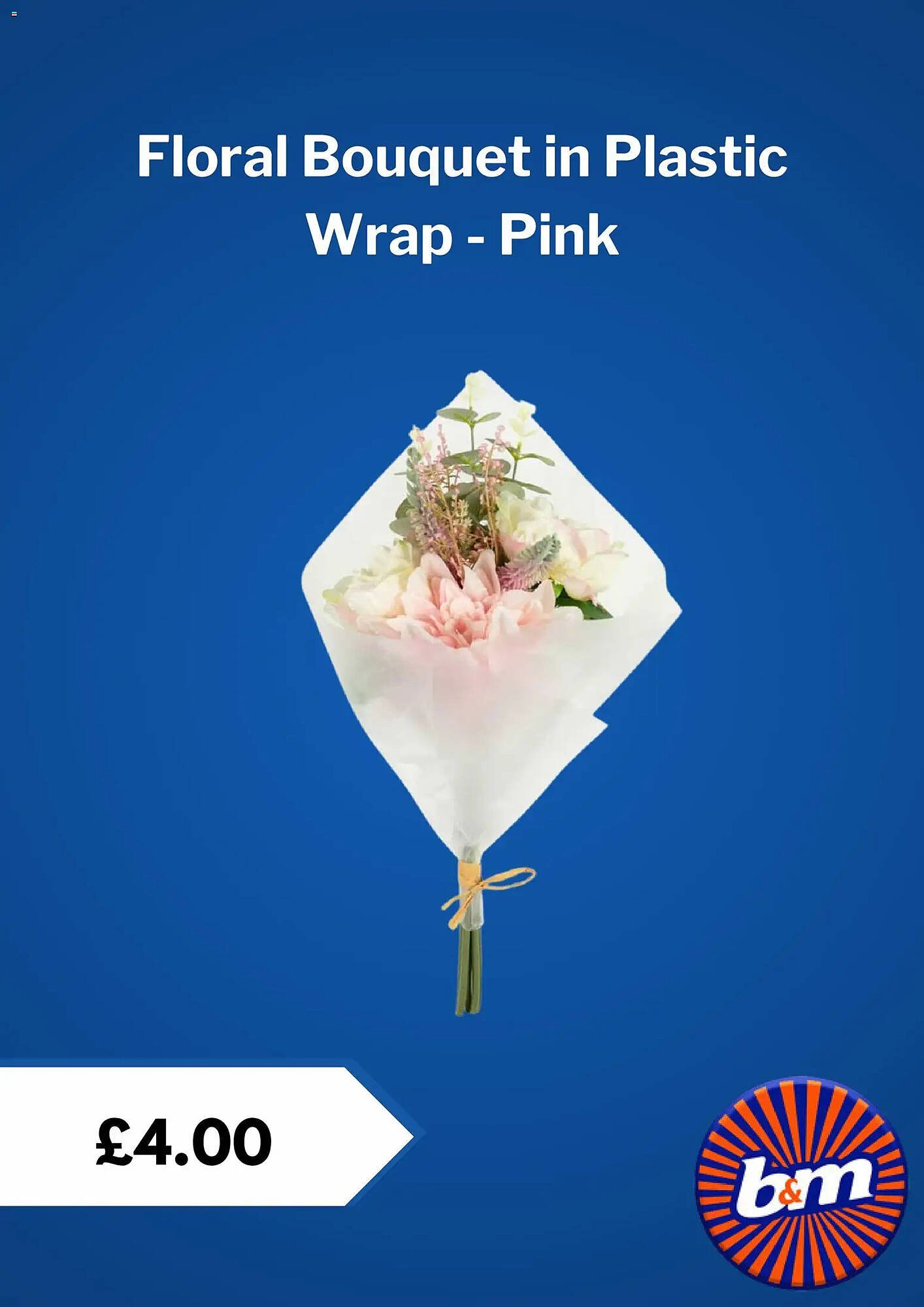 B&amp;M Stores leaflet (2026-02-25 - 2026-03-25) | 7