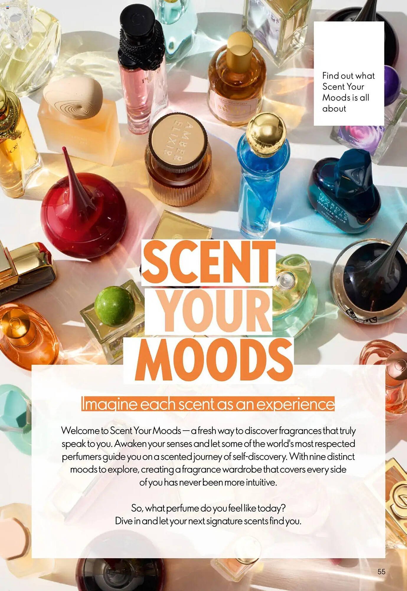 Oriflame catalogue (2025-10-01 - 2025-10-22) | 55