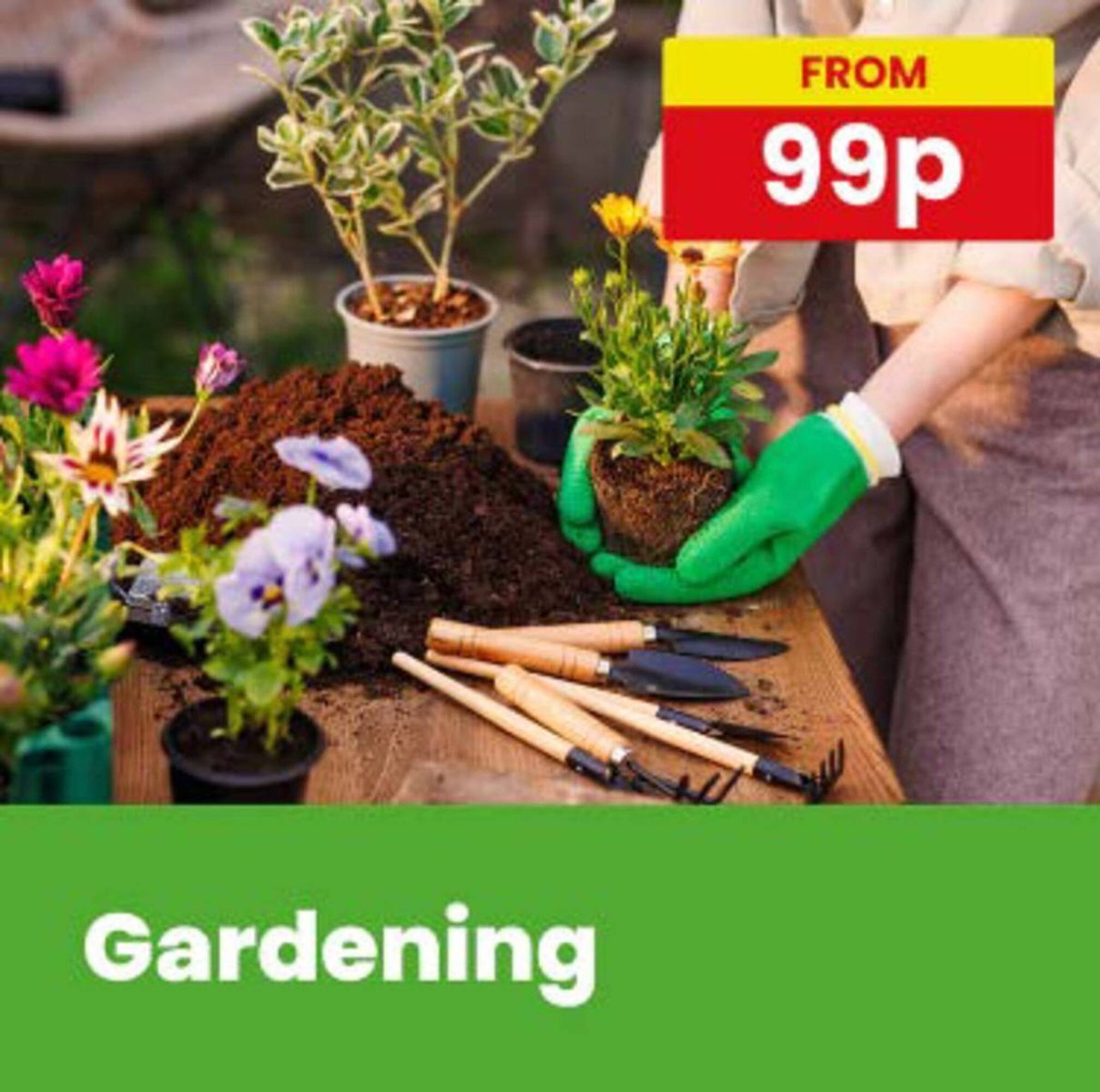 Poundstretcher leaflet (2026-03-03 - 2026-03-08) | 4