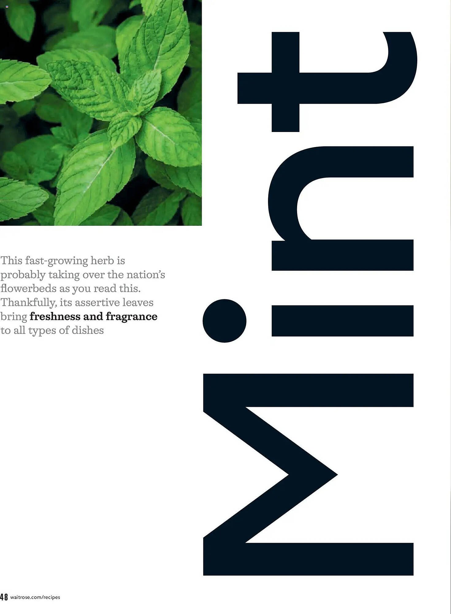 Waitrose catalogue (2026-05-01 - 2026-06-01) | 48
