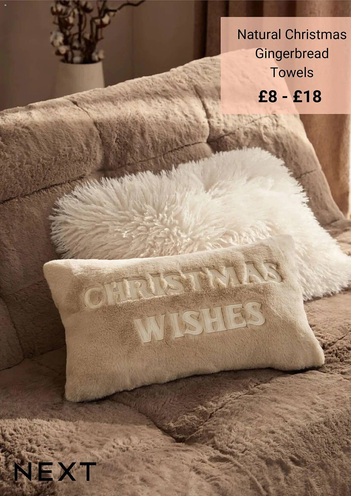 Next leaflet (2025-11-21 - 2025-12-21) | 2