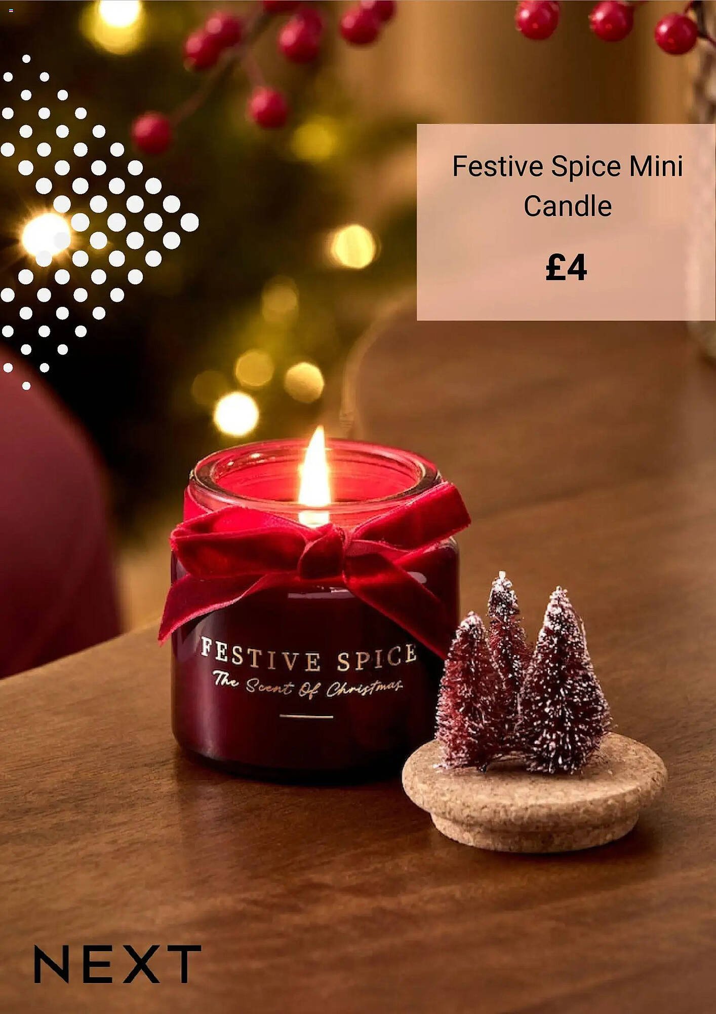 Next leaflet (2025-11-21 - 2025-12-21) | 6