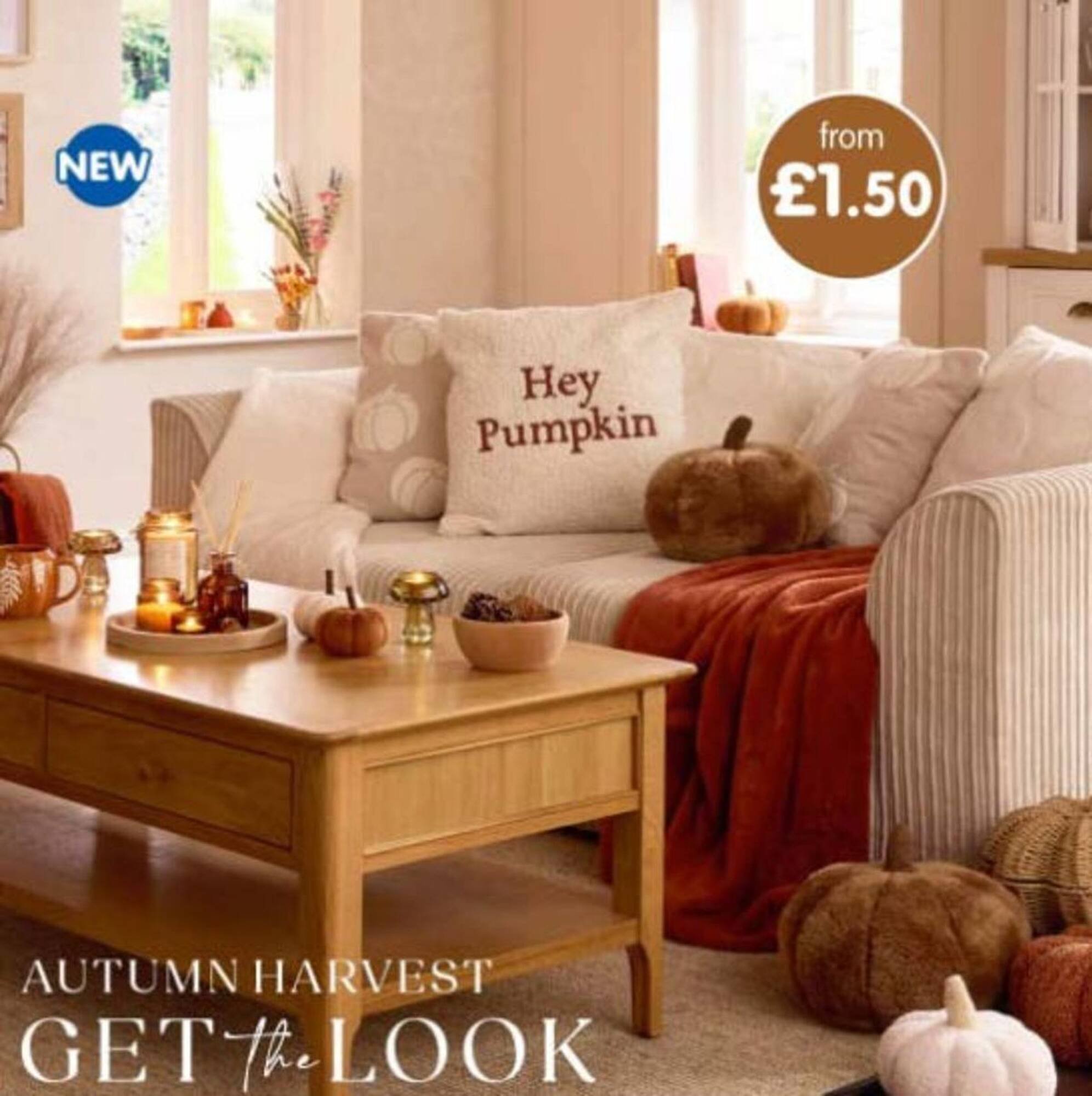 B&amp;M Stores leaflet (2025-08-27 - 2025-09-21) | 1