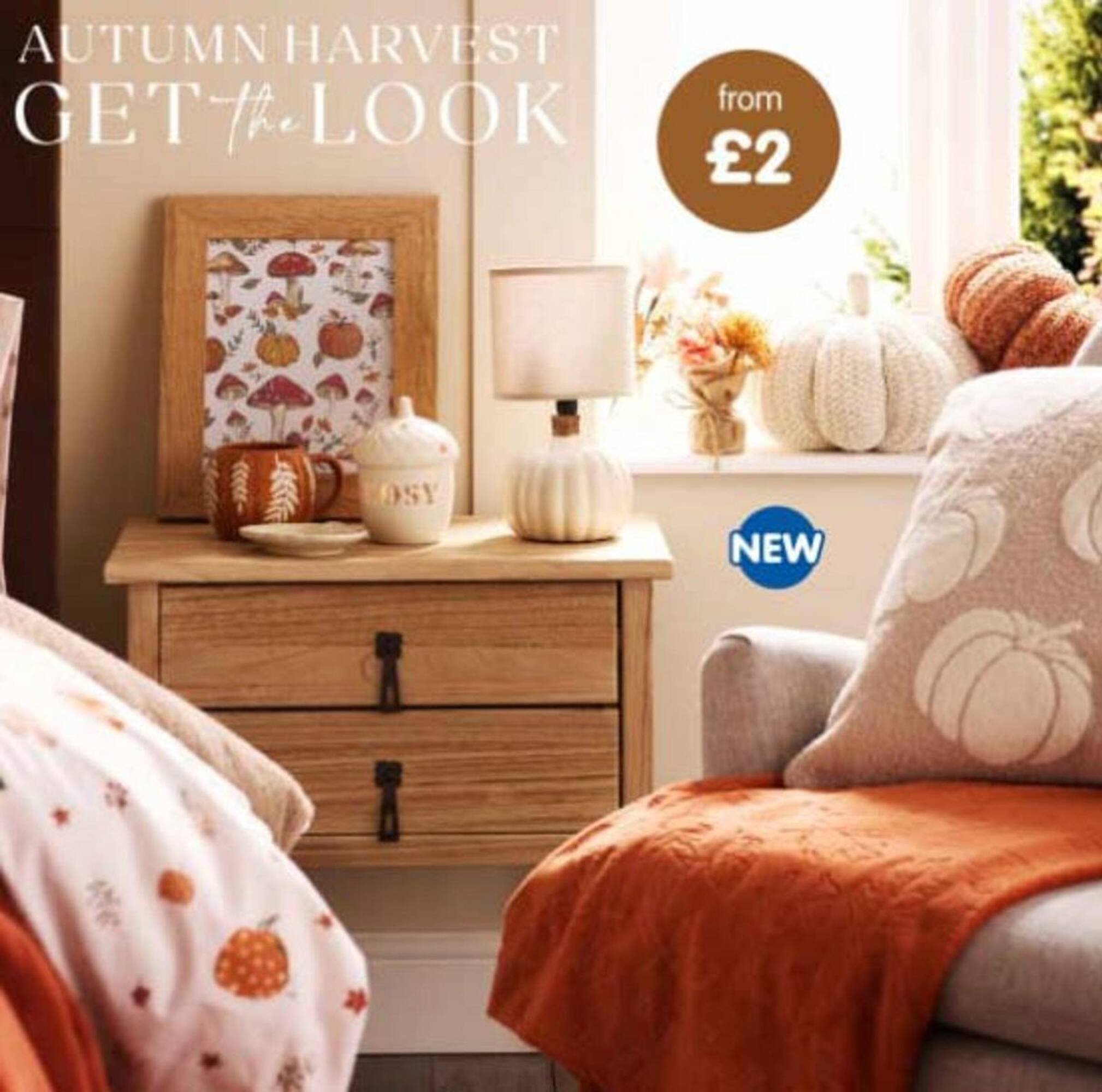 B&amp;M Stores leaflet (2025-09-24 - 2025-10-22) | 1
