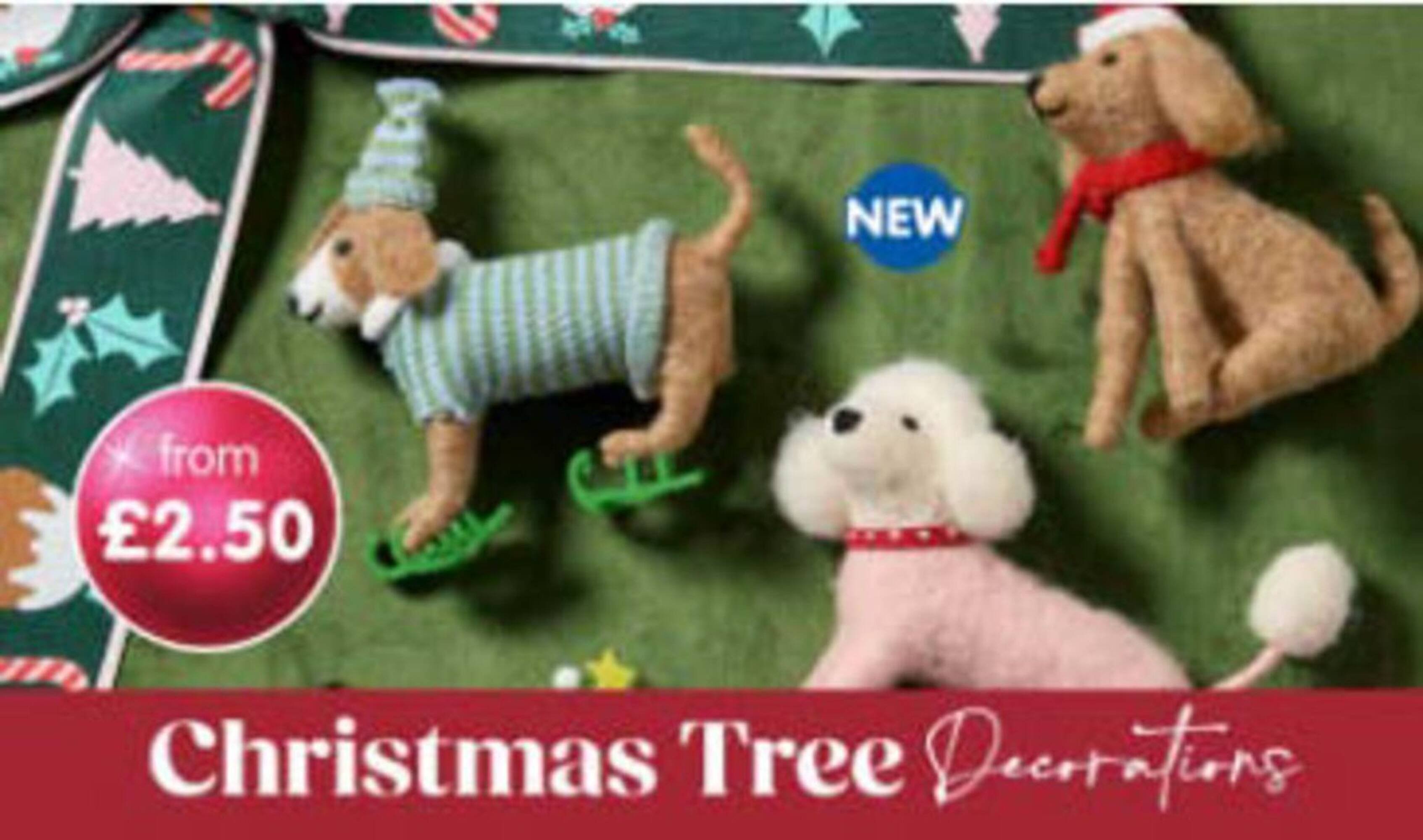 B&amp;M Stores leaflet (2025-10-15 - 2025-10-31) | 6