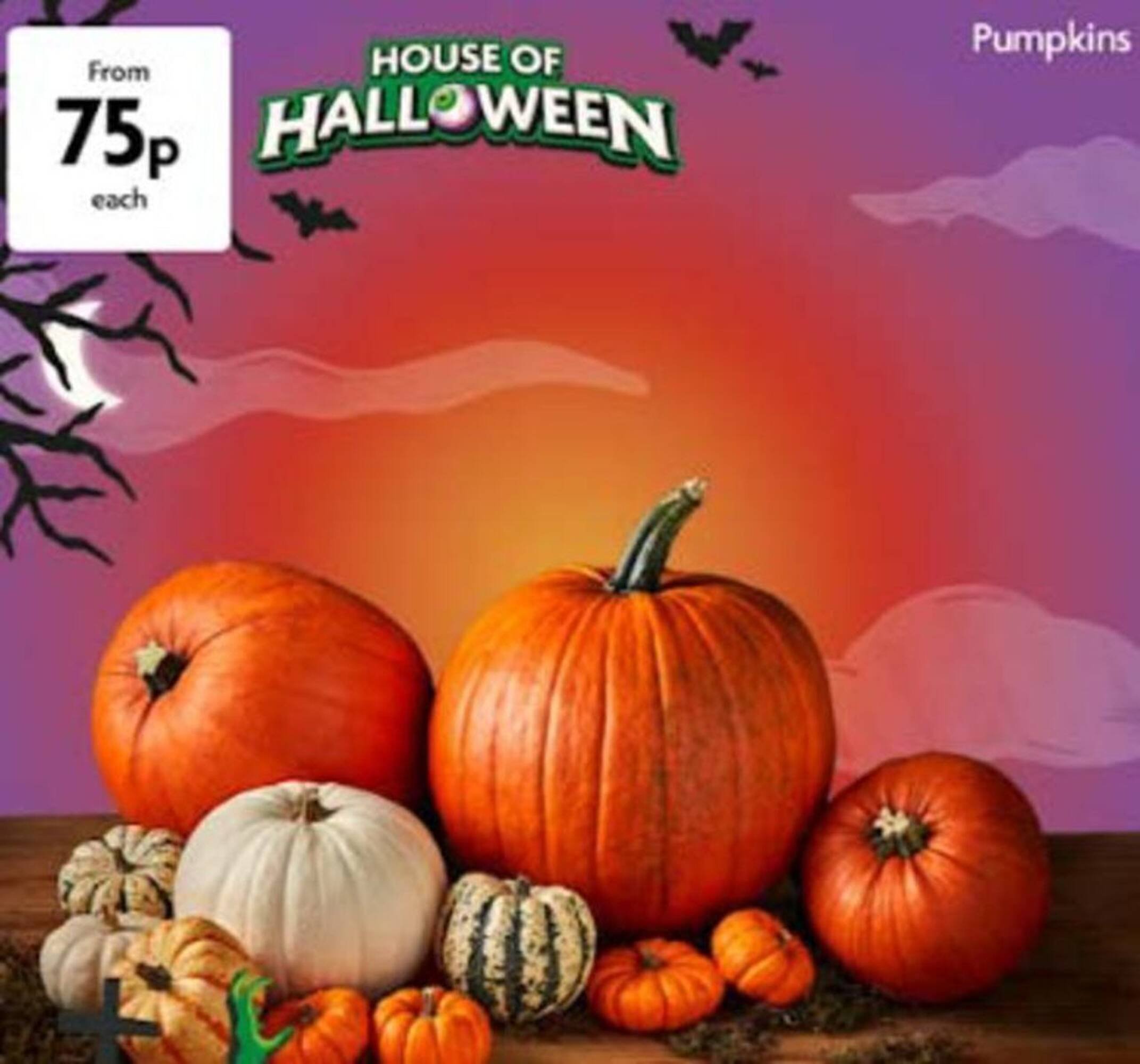 Morrisons leaflet (2025-10-17 - 2025-11-11) | 1