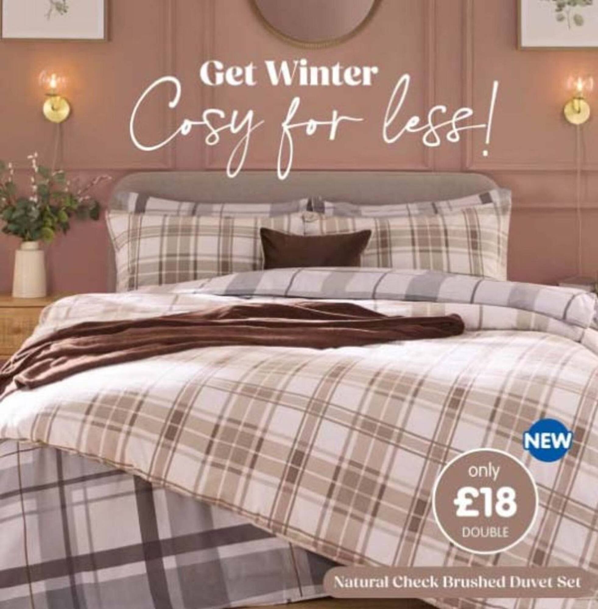 B&amp;M Stores leaflet (2025-11-14 - 2025-11-20) | 2