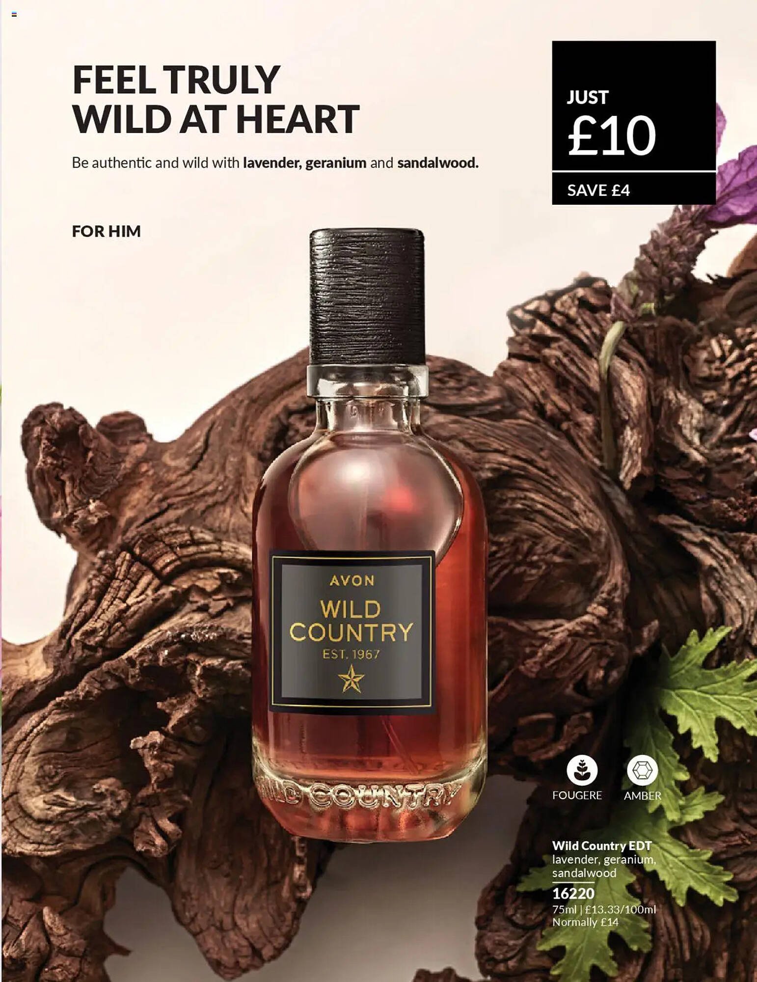 Avon catalogue (2025-09-01 - 2025-10-01) | 100