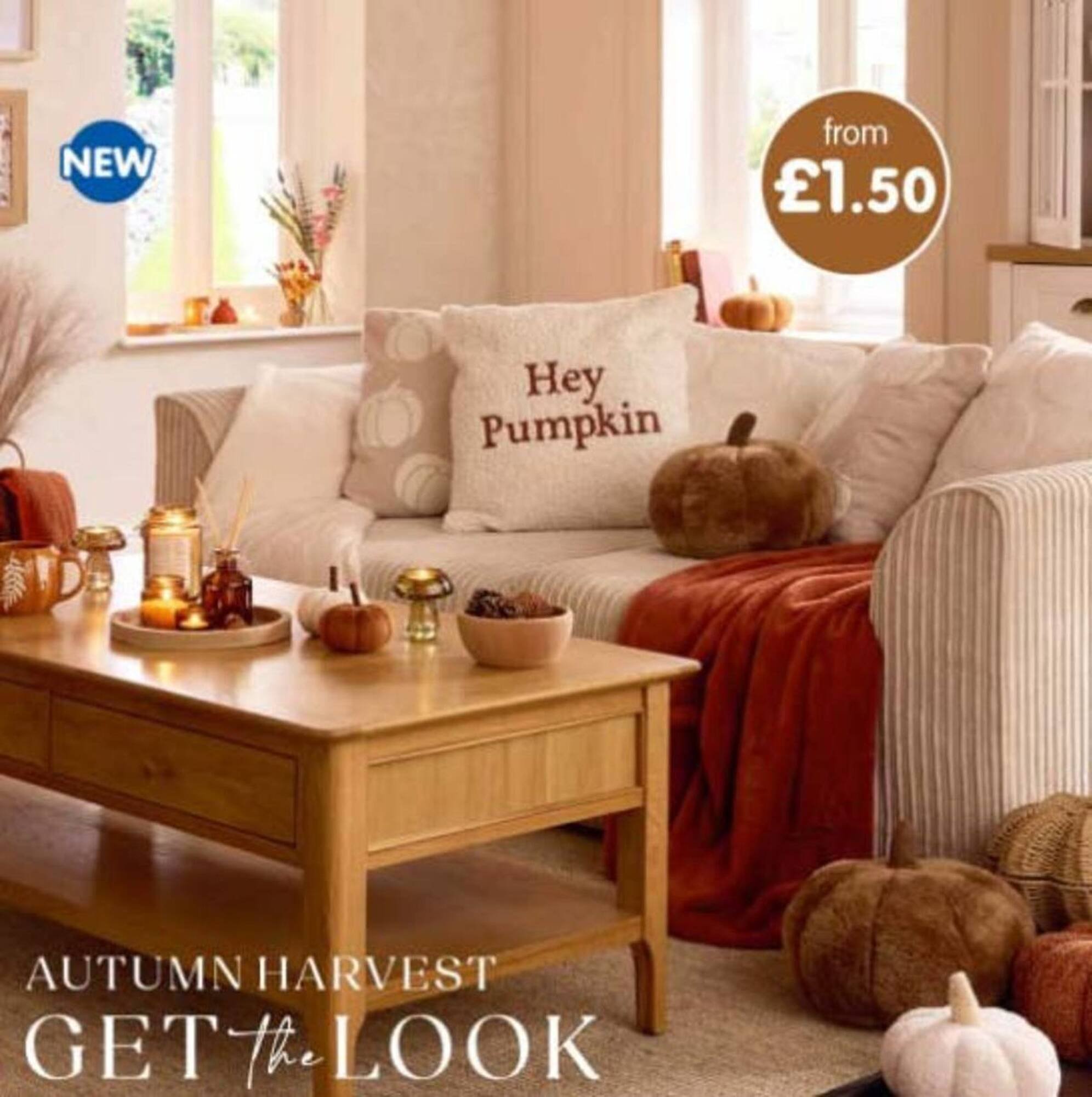 B&amp;M Stores leaflet (2025-08-08 - 2025-09-16) | 1