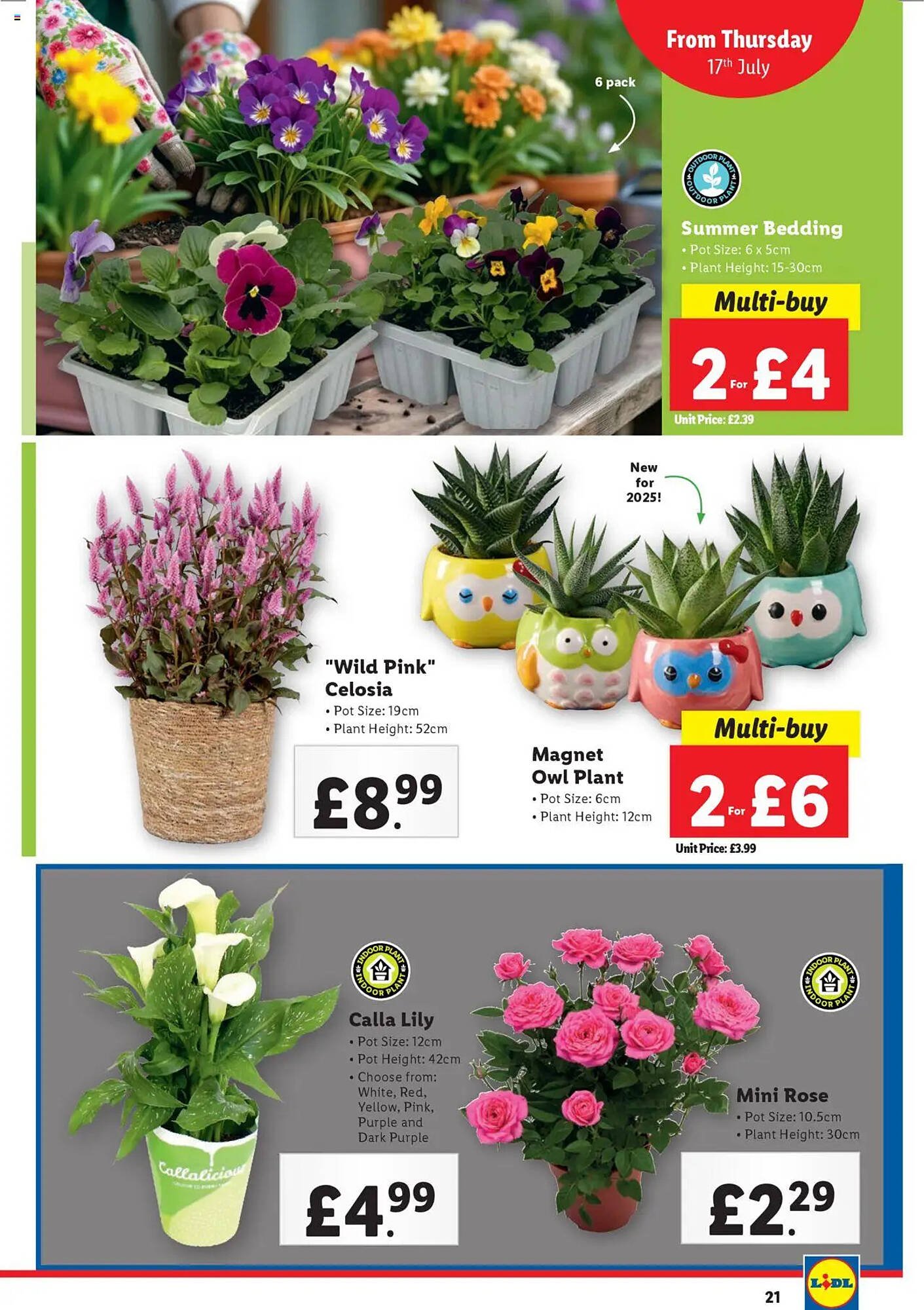 Lidl leaflet (2025-07-17 - 2025-07-23) | 21