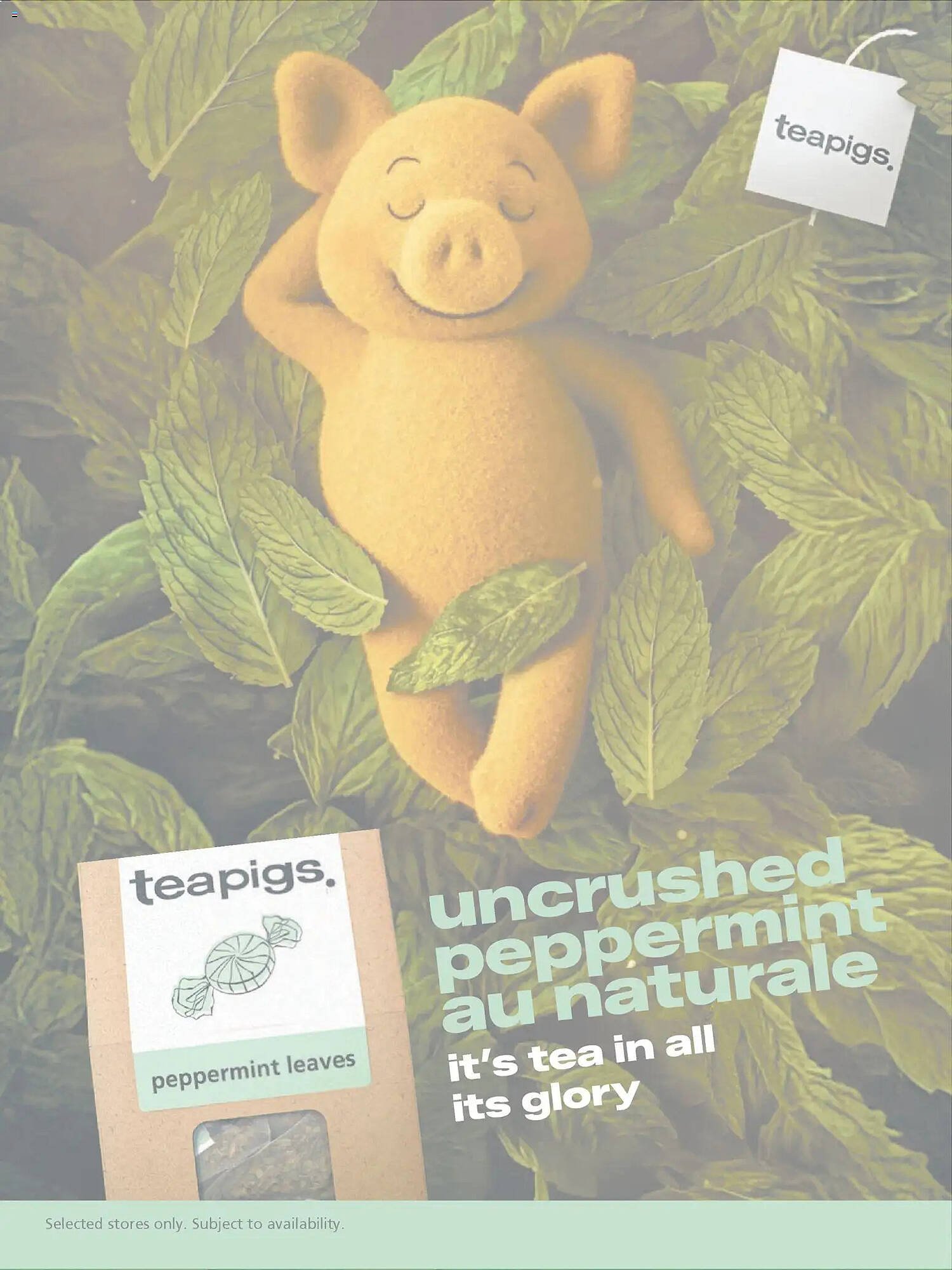 Waitrose catalogue (2026-02-01 - 2026-04-01) | 30