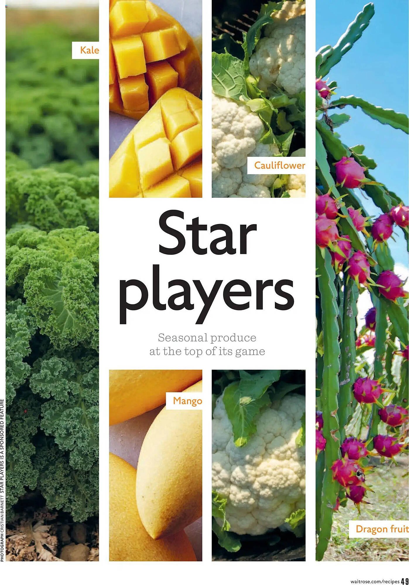 Waitrose catalogue (2026-02-01 - 2026-04-01) | 49