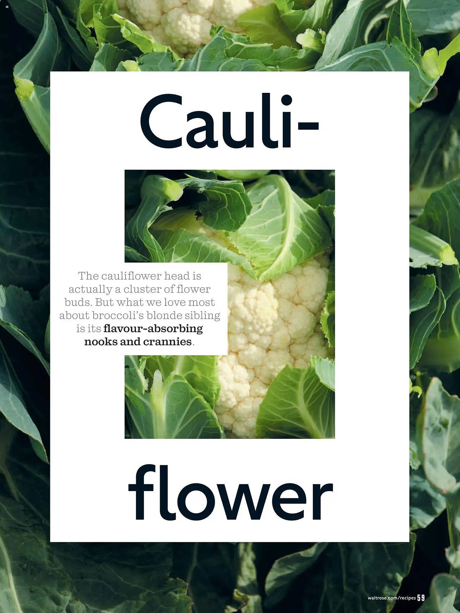 Waitrose catalogue (2026-02-01 - 2026-04-01) | 59