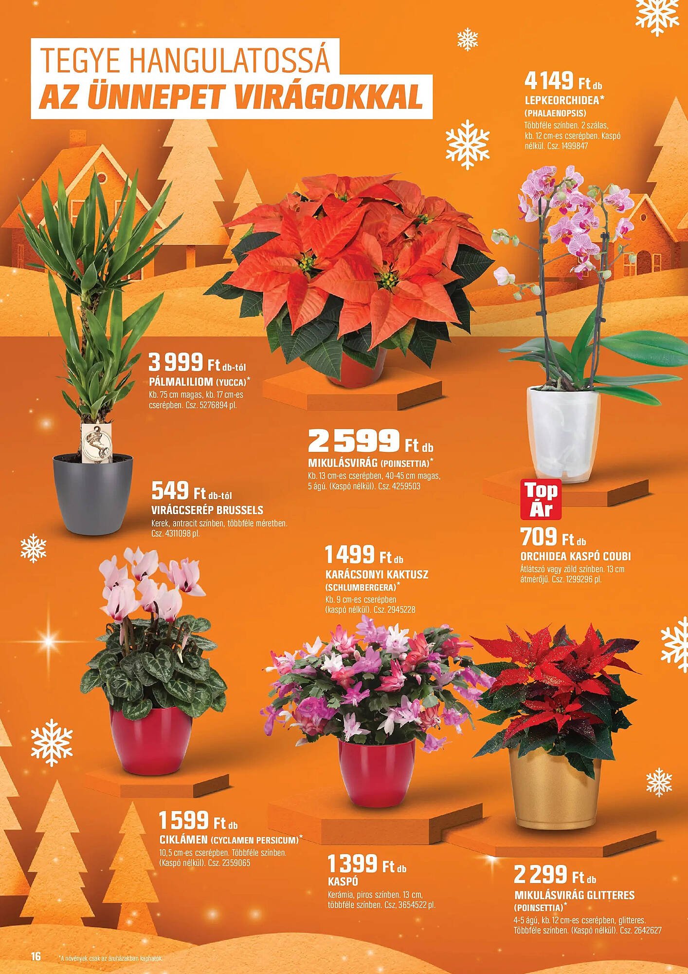 OBI akciós újság (2025-12-02 - 2025-12-23)