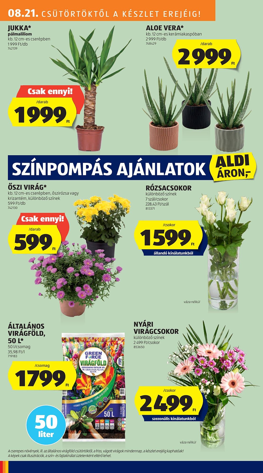 ALDI akciós újság (2025-08-21 - 2025-08-27)