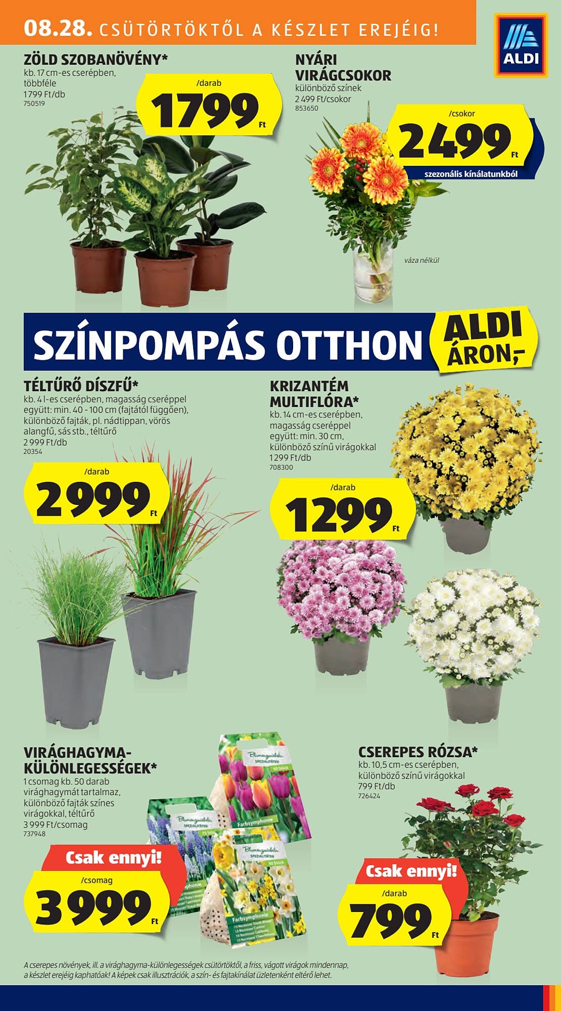ALDI akciós újság (2025-08-28 - 2025-09-03)
