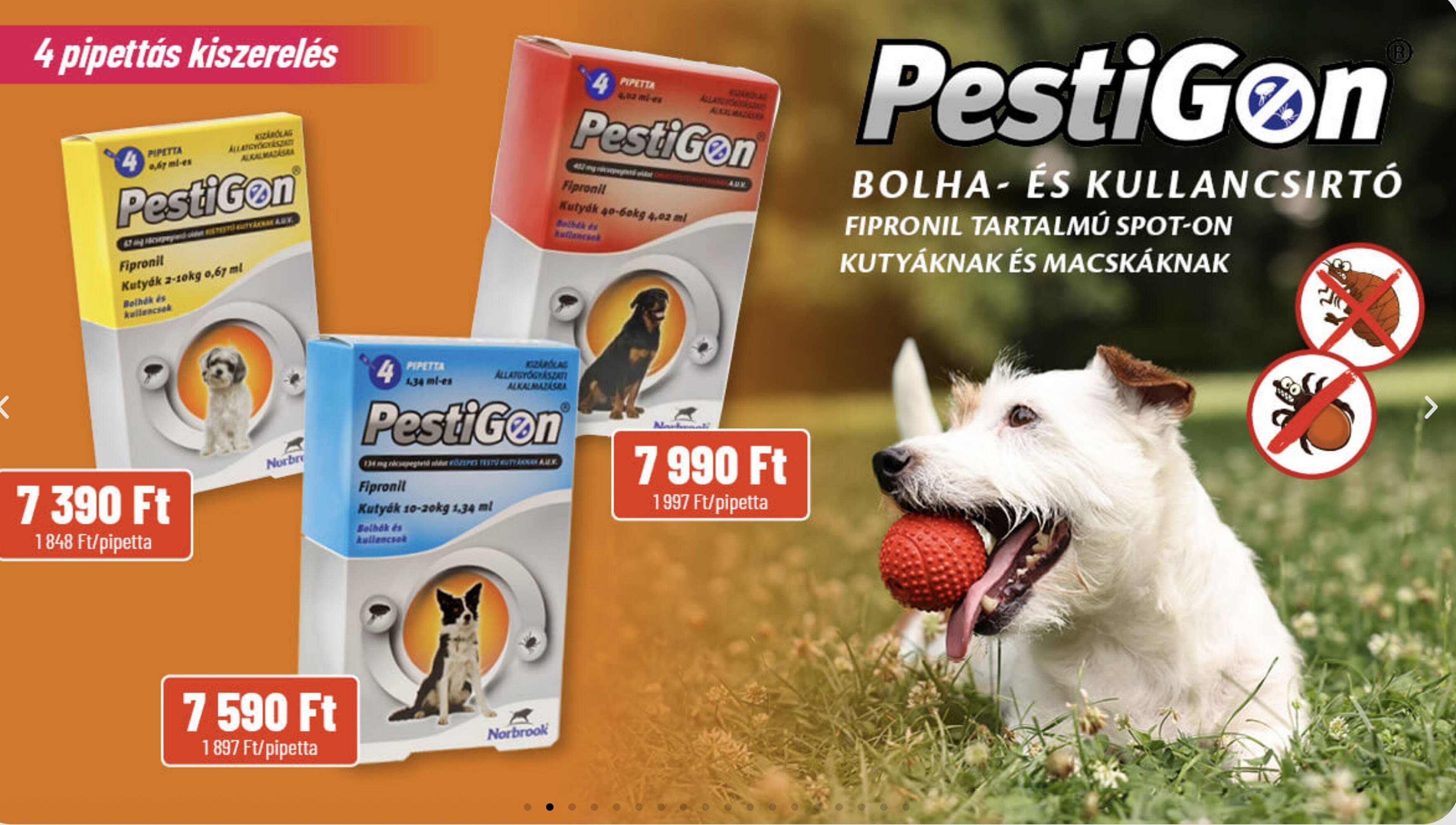 Alpha Zoo akciós újság (2025-11-07 - 2025-11-20)