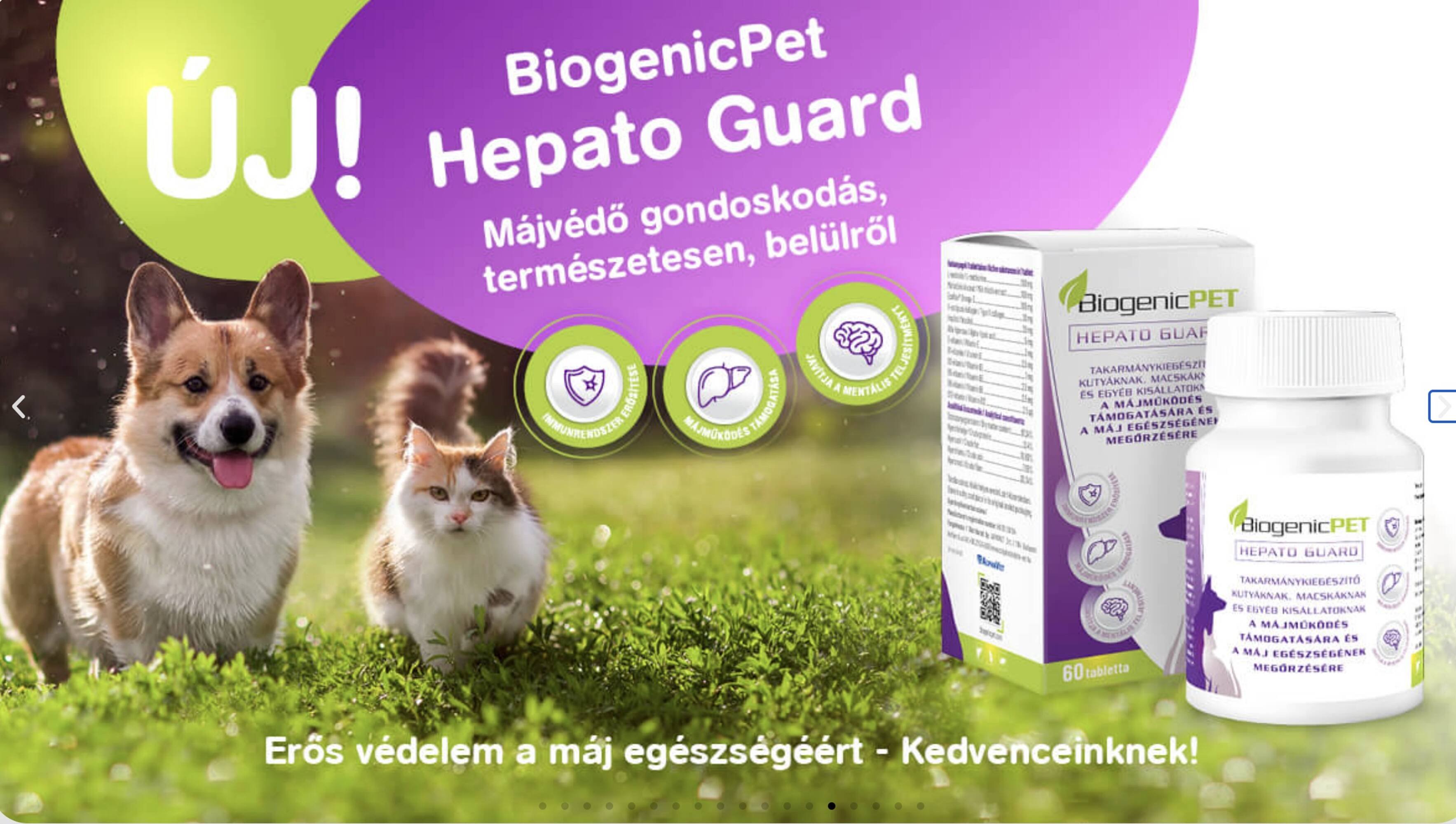 Alpha Zoo akciós újság (2025-11-07 - 2025-11-20)