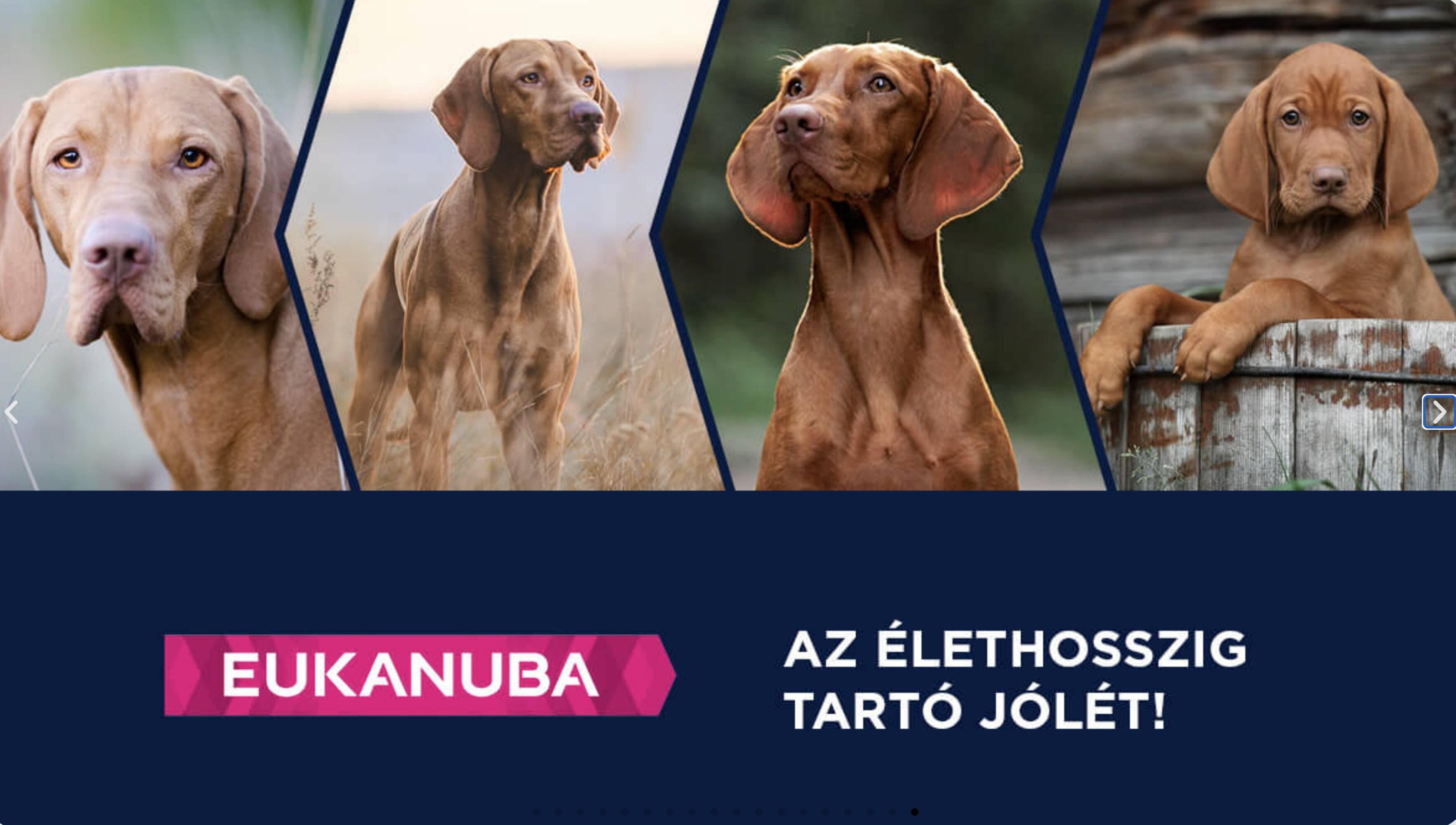 Alpha Zoo akciós újság (2025-11-07 - 2025-11-20)