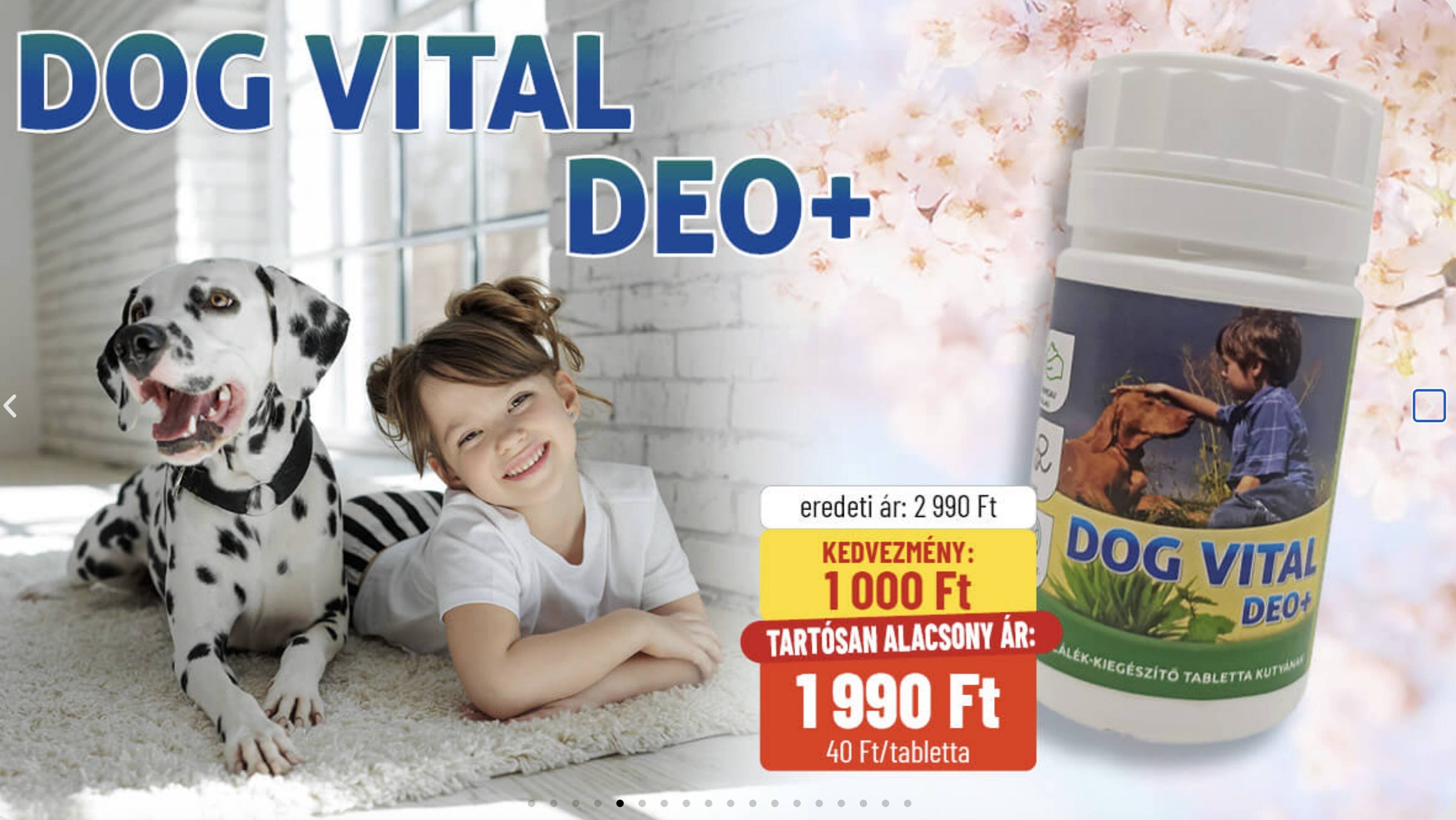 Alpha Zoo akciós újság (2025-11-07 - 2025-11-20)