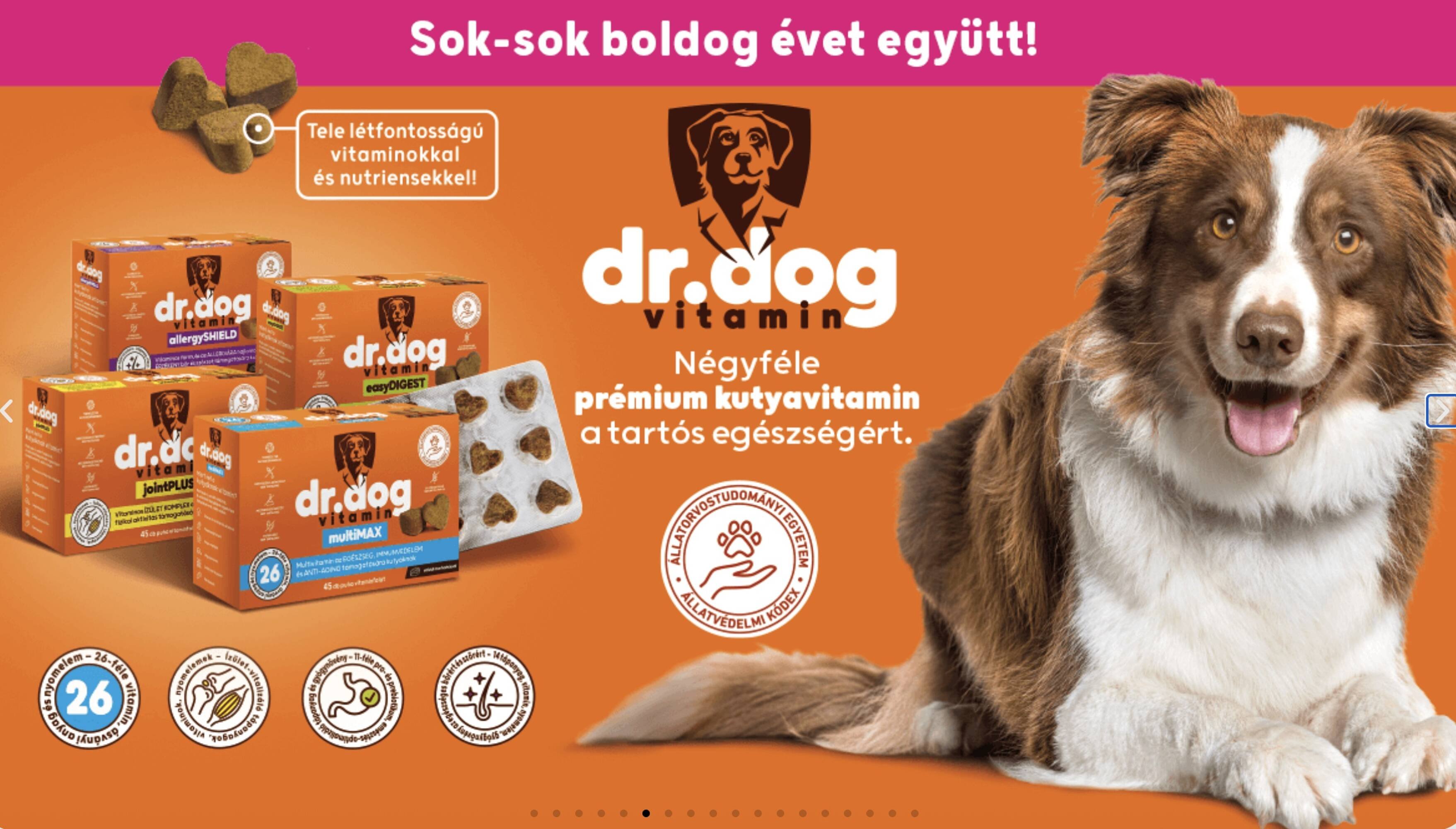 Alpha Zoo akciós újság (2025-11-07 - 2025-11-20)