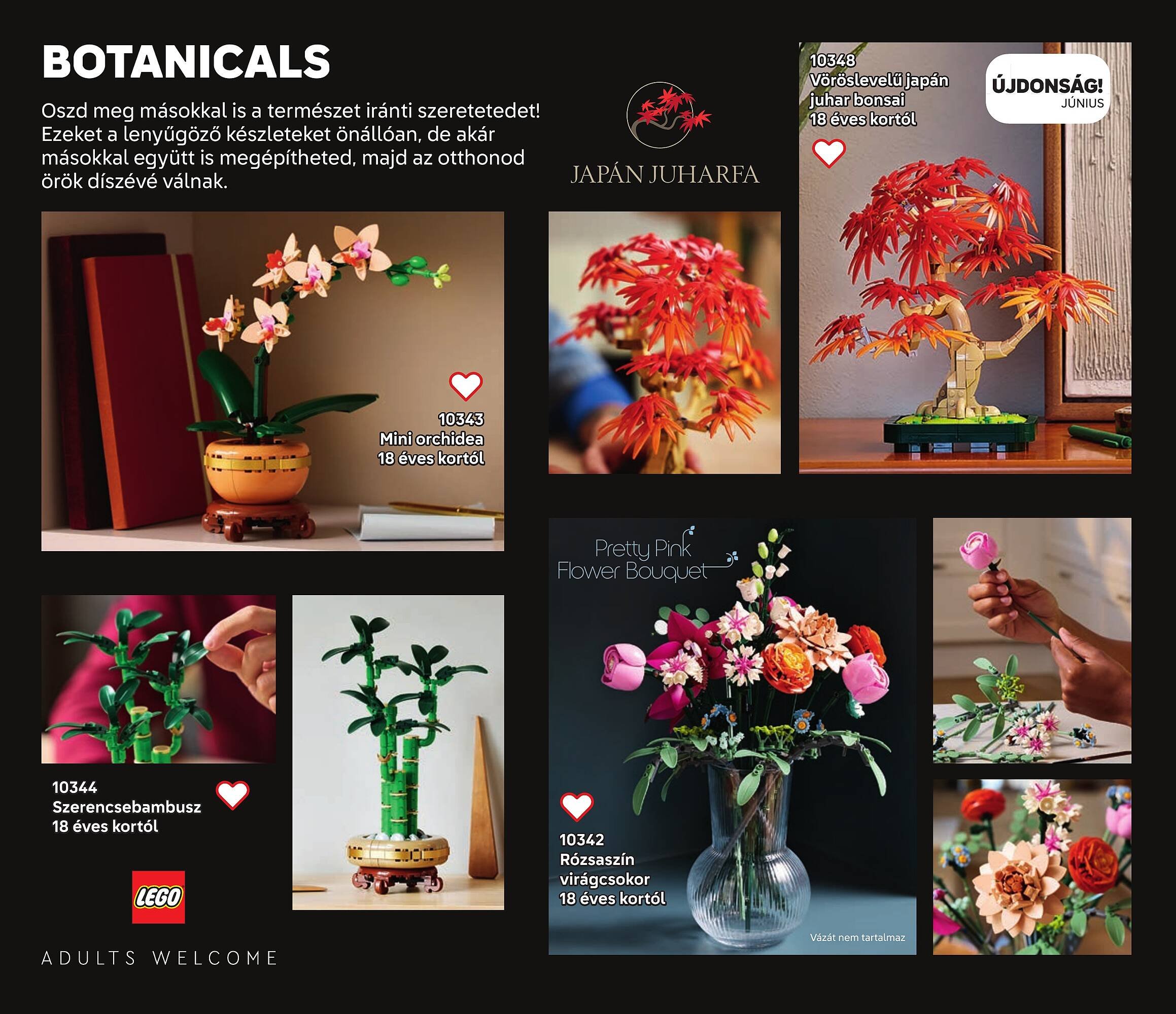 KockaÁruház akciós újság (2025-06-01 - 2025-12-31)