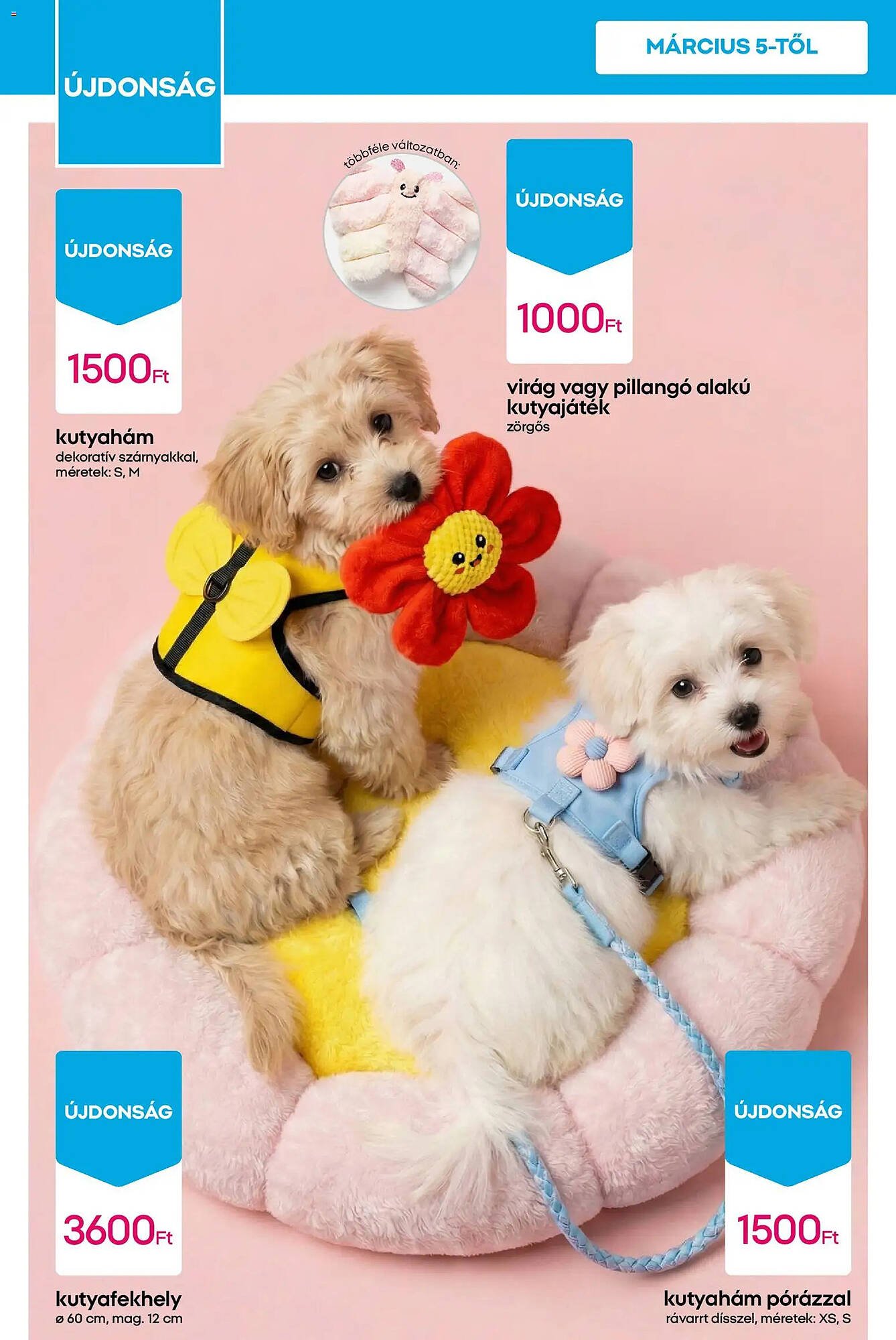 Pepco akciós újság (2026-03-05 - 2026-03-11)