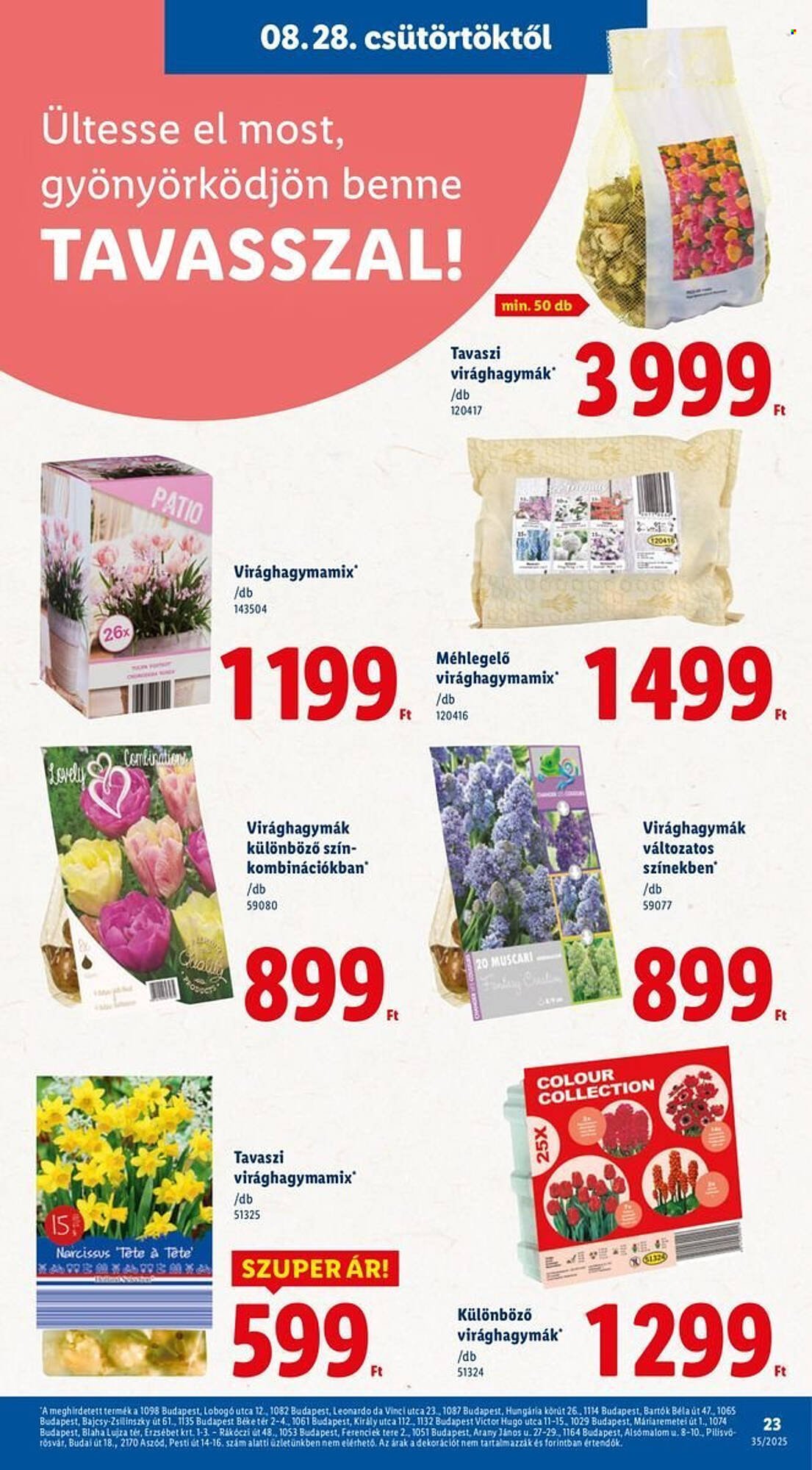 Lidl akciós újság (2025-08-28 - 2025-09-03)
